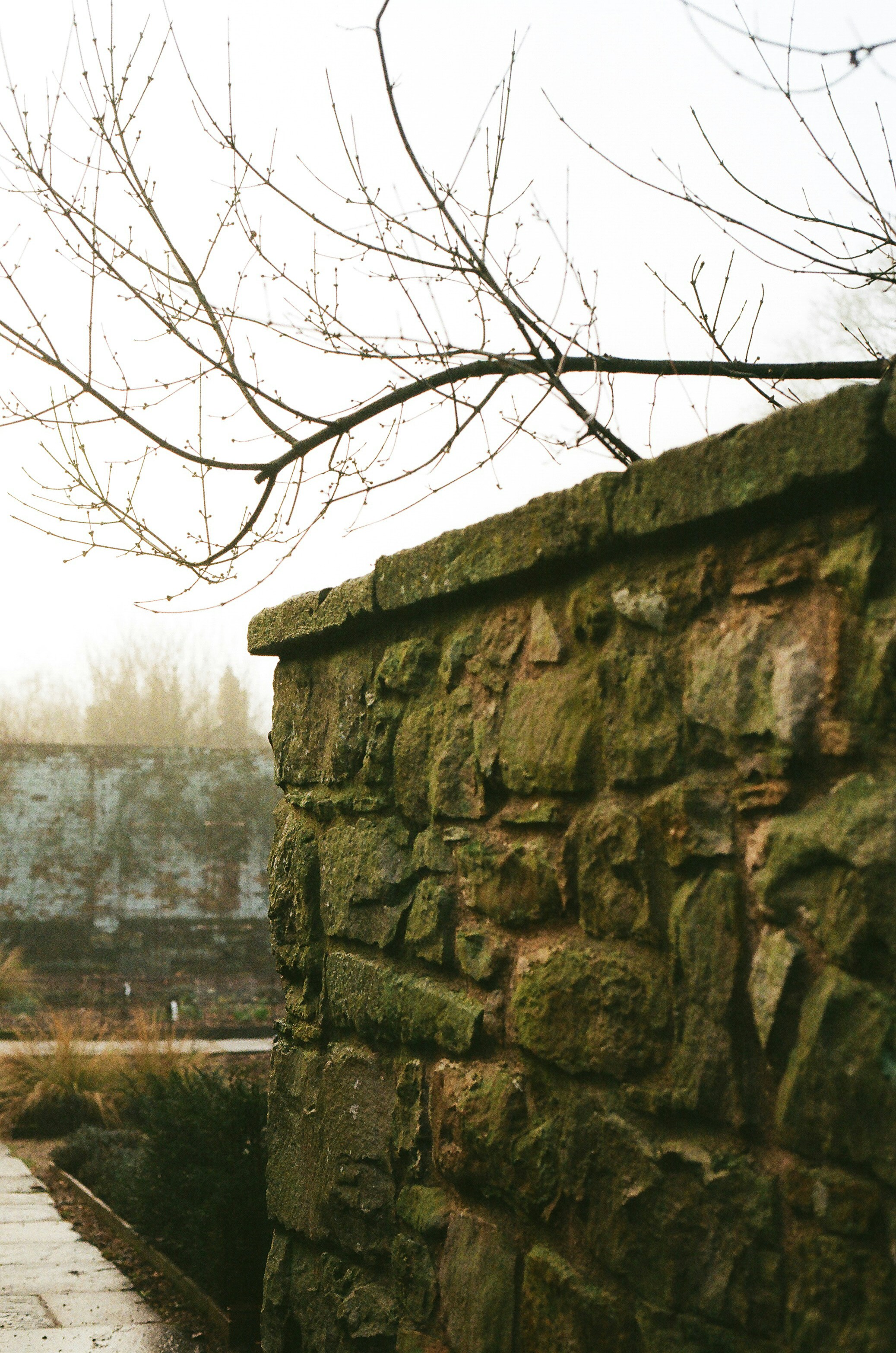 Photo by tanyabarrow