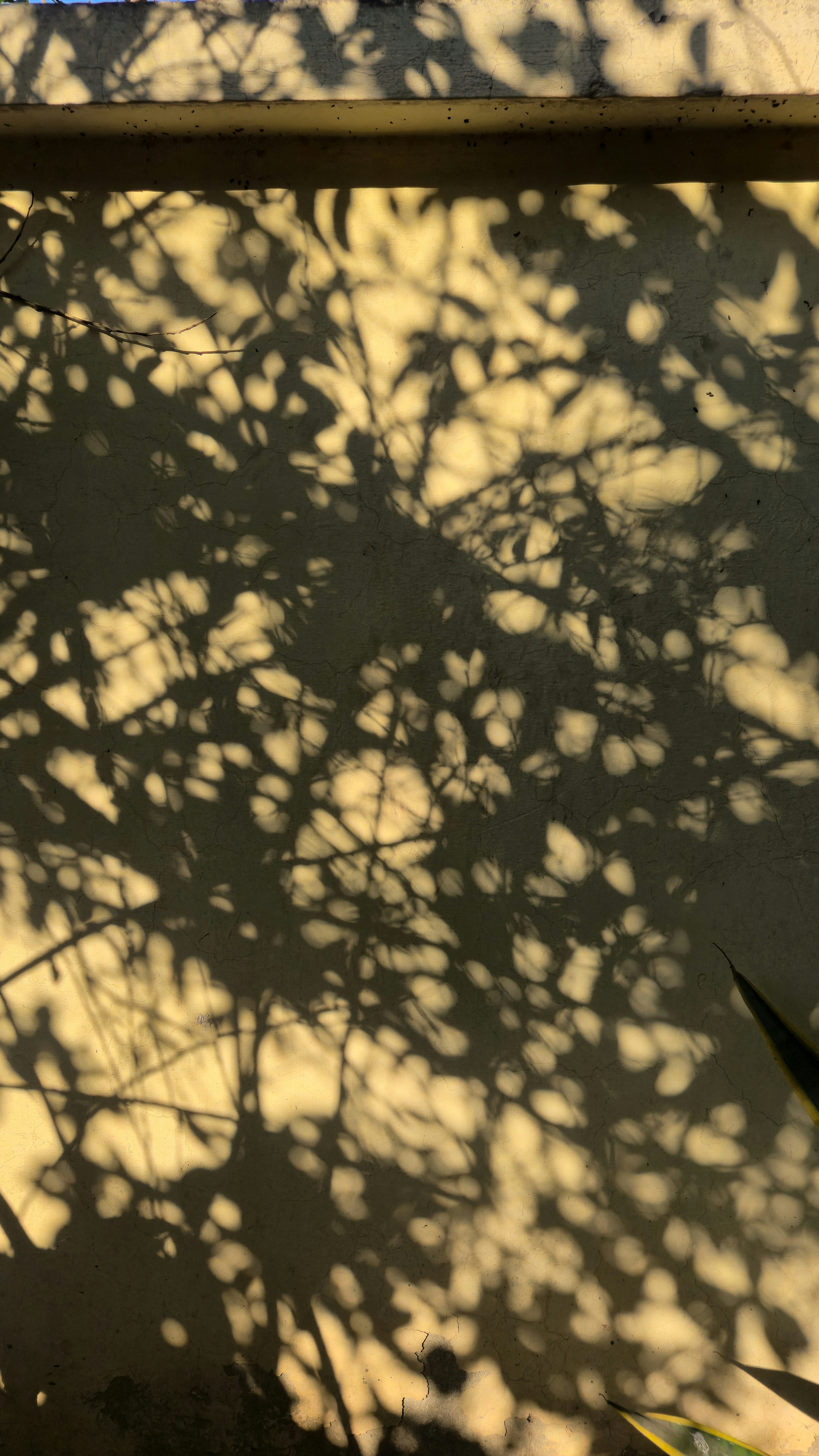 Photo by zurwahnaeem