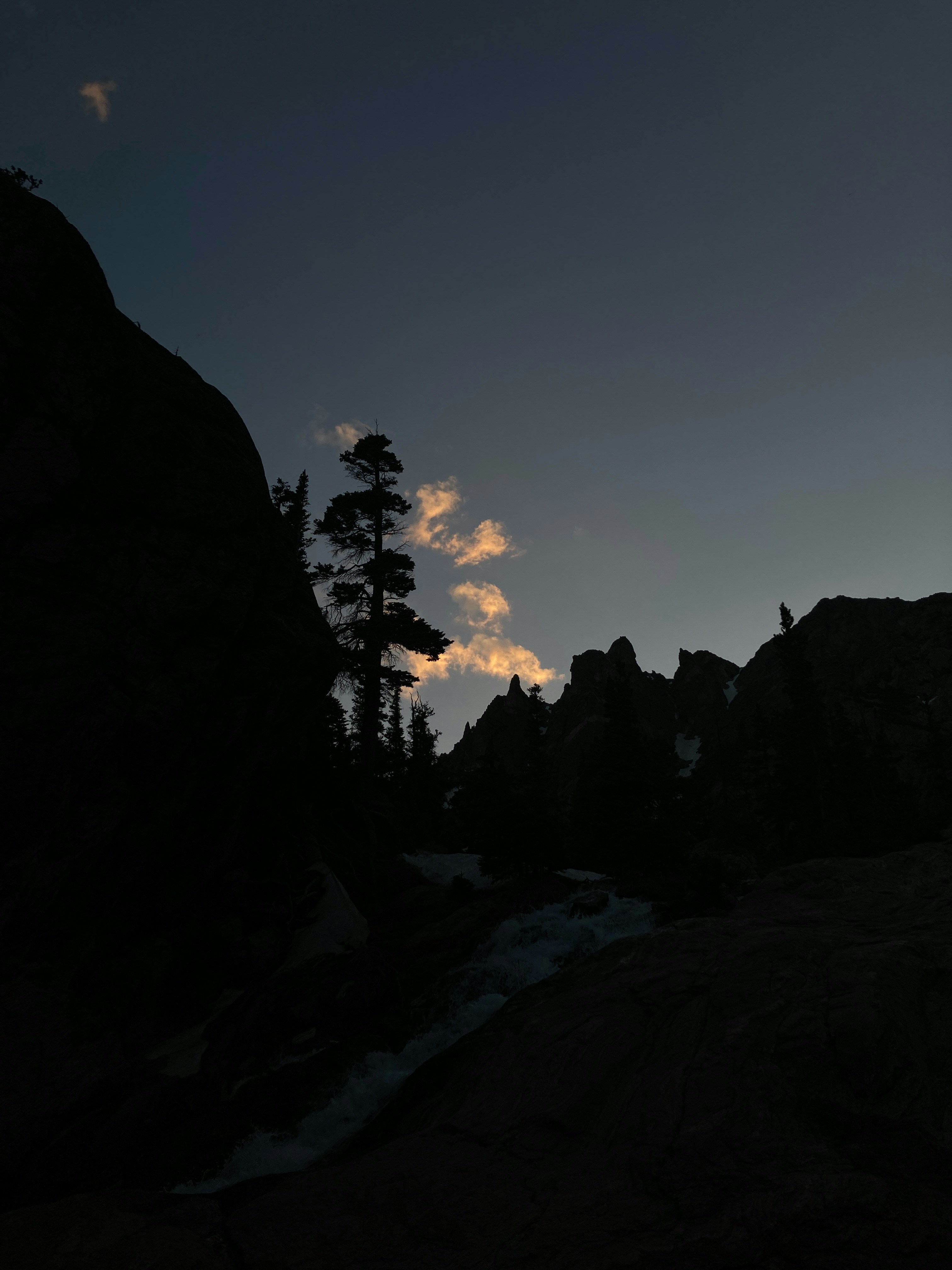 Silhouette of a lone pine tree against dusk sky