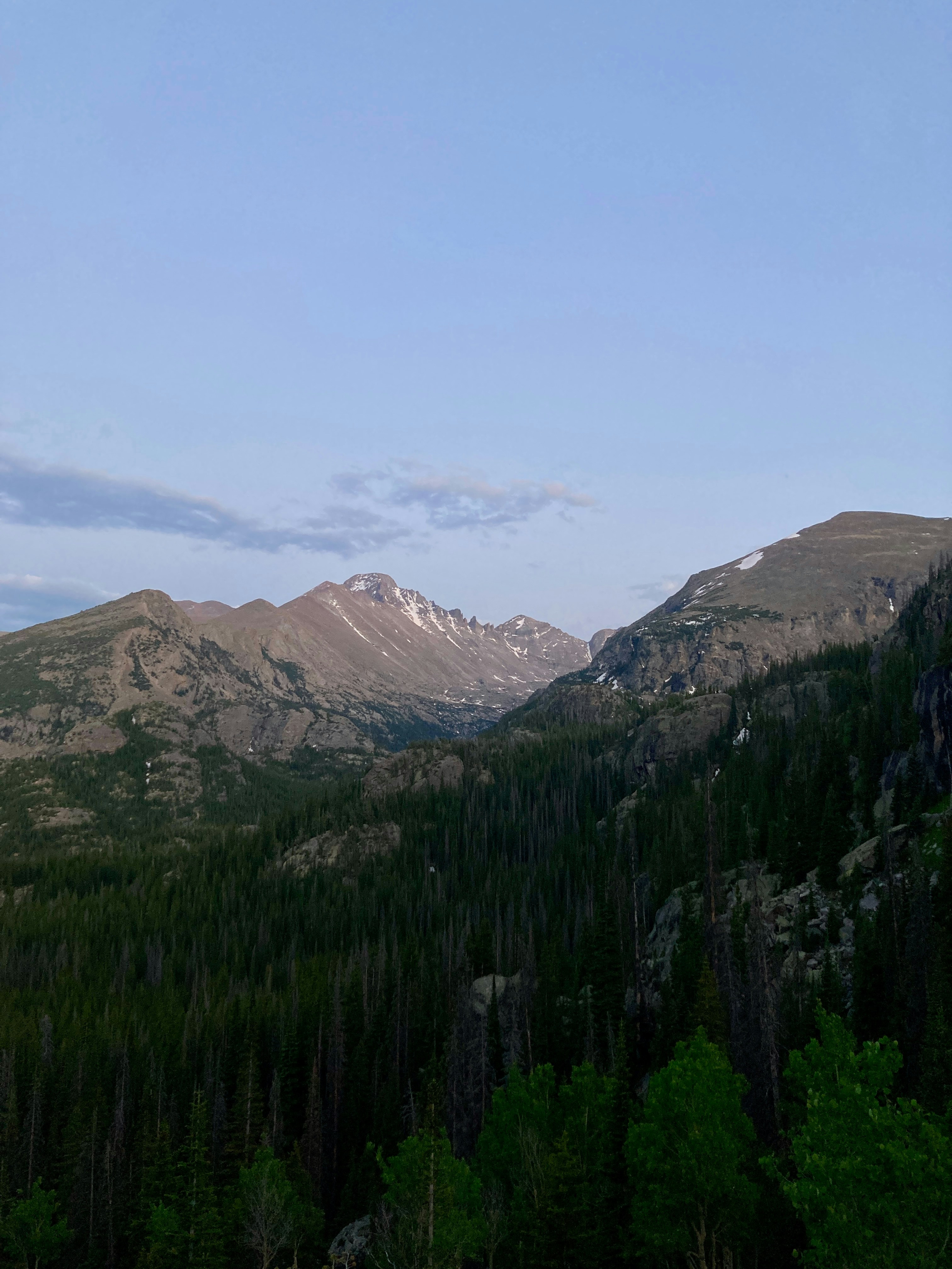 Mountain range with pine forest under a clear sky