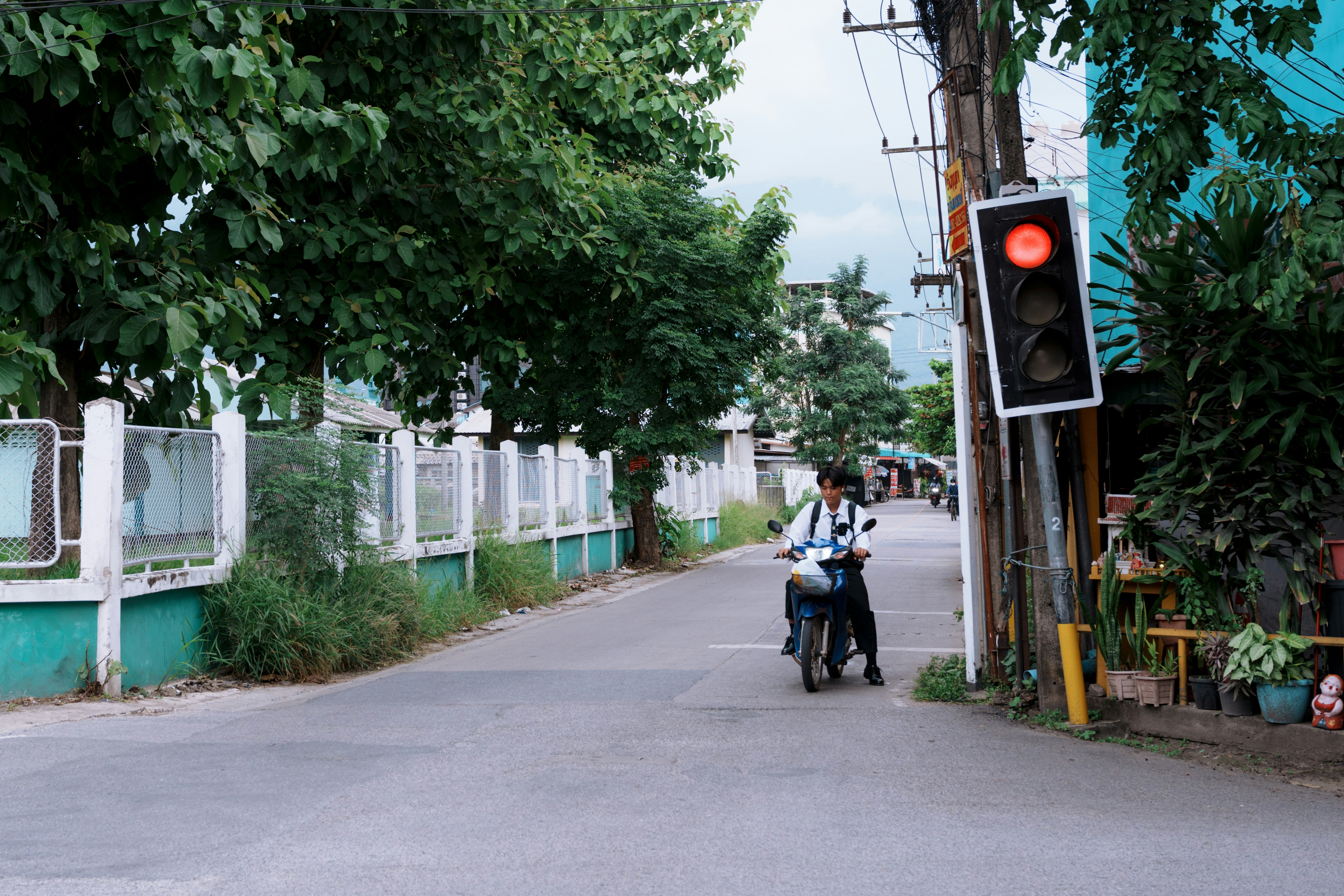 Travel and Togetherness: Celebrating Diversity in Bus Directions and Stories