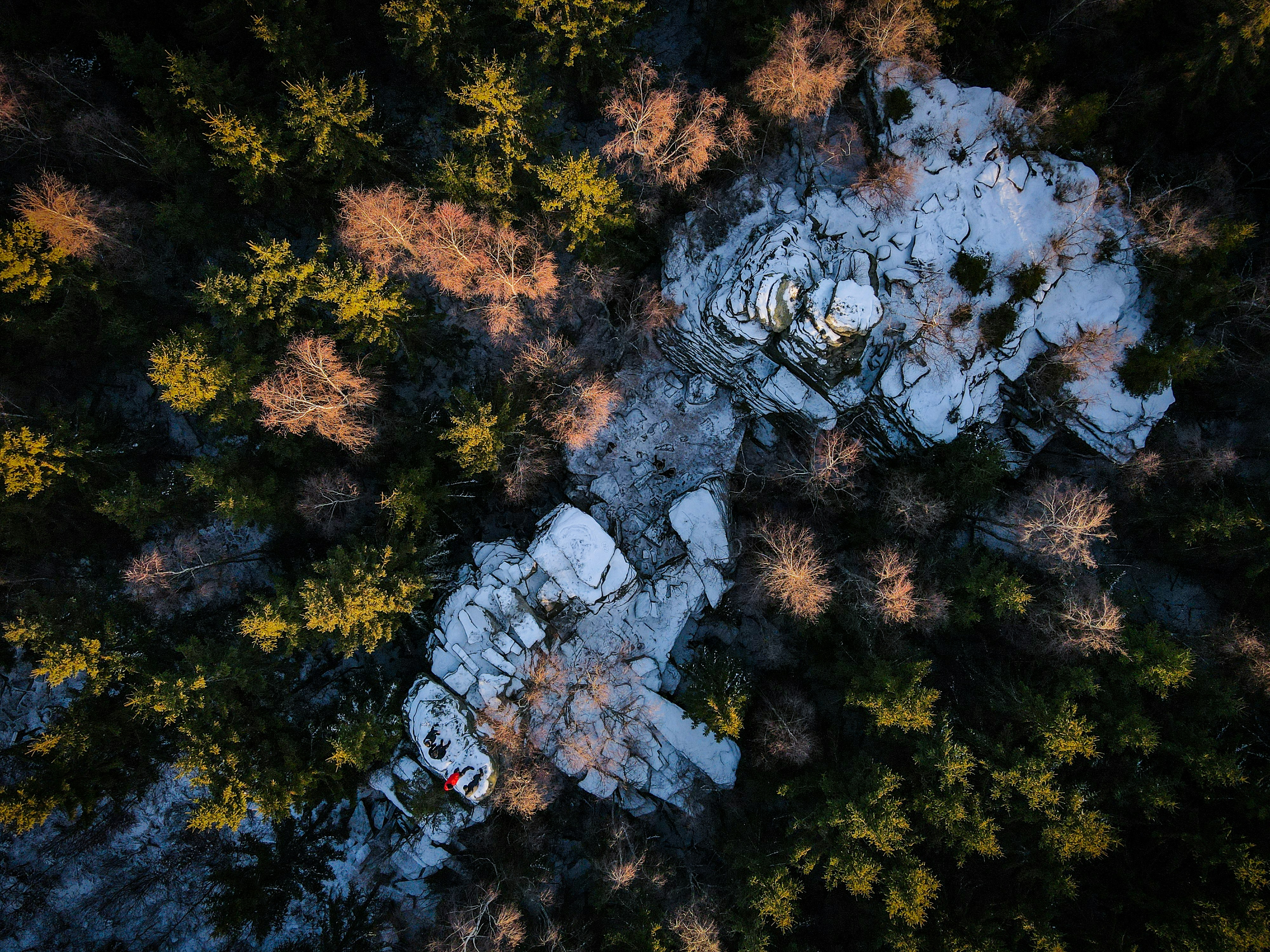 Photo by michaelarimakova