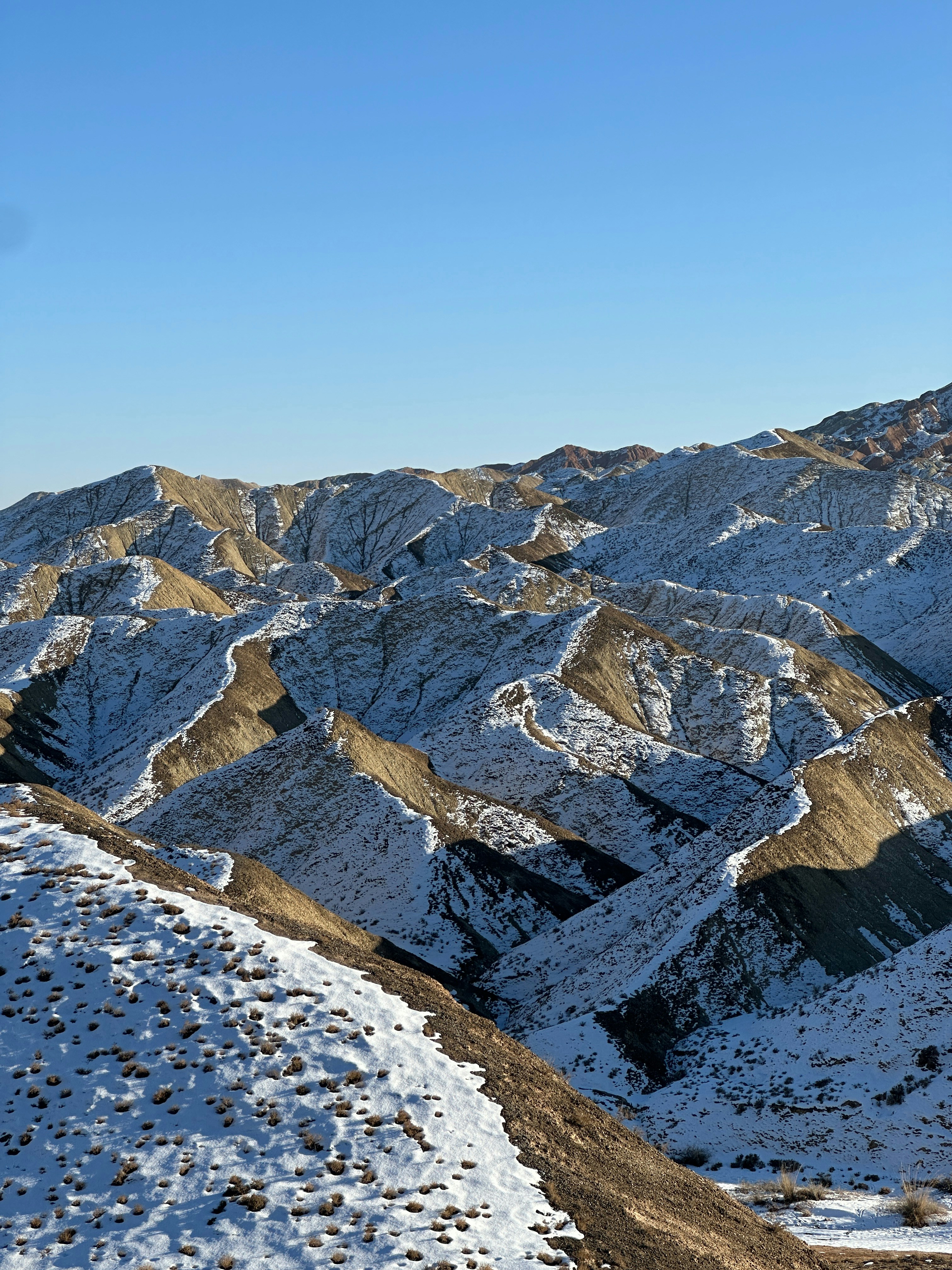 Photo by adc58704244