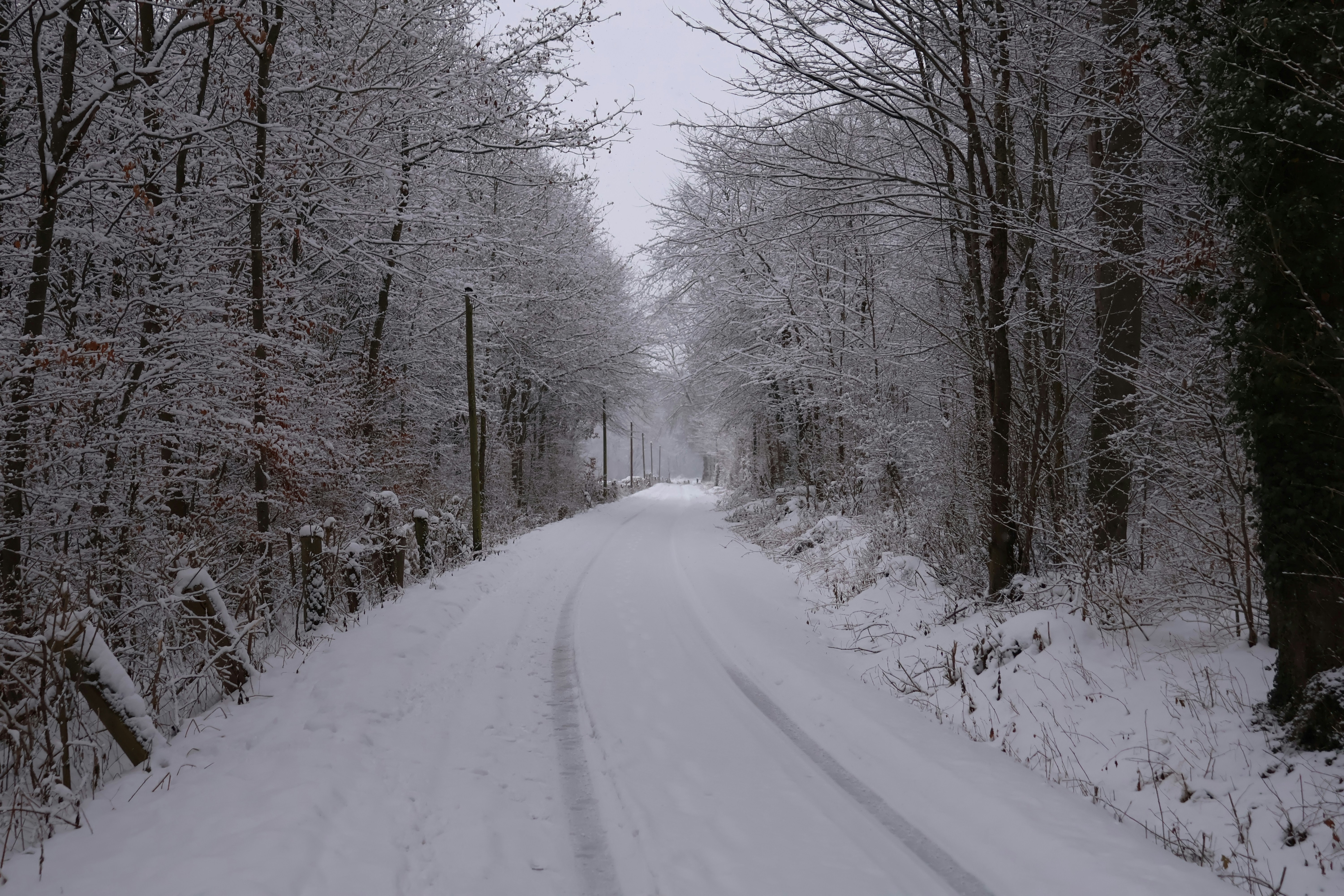 Photo by viktorfriesen