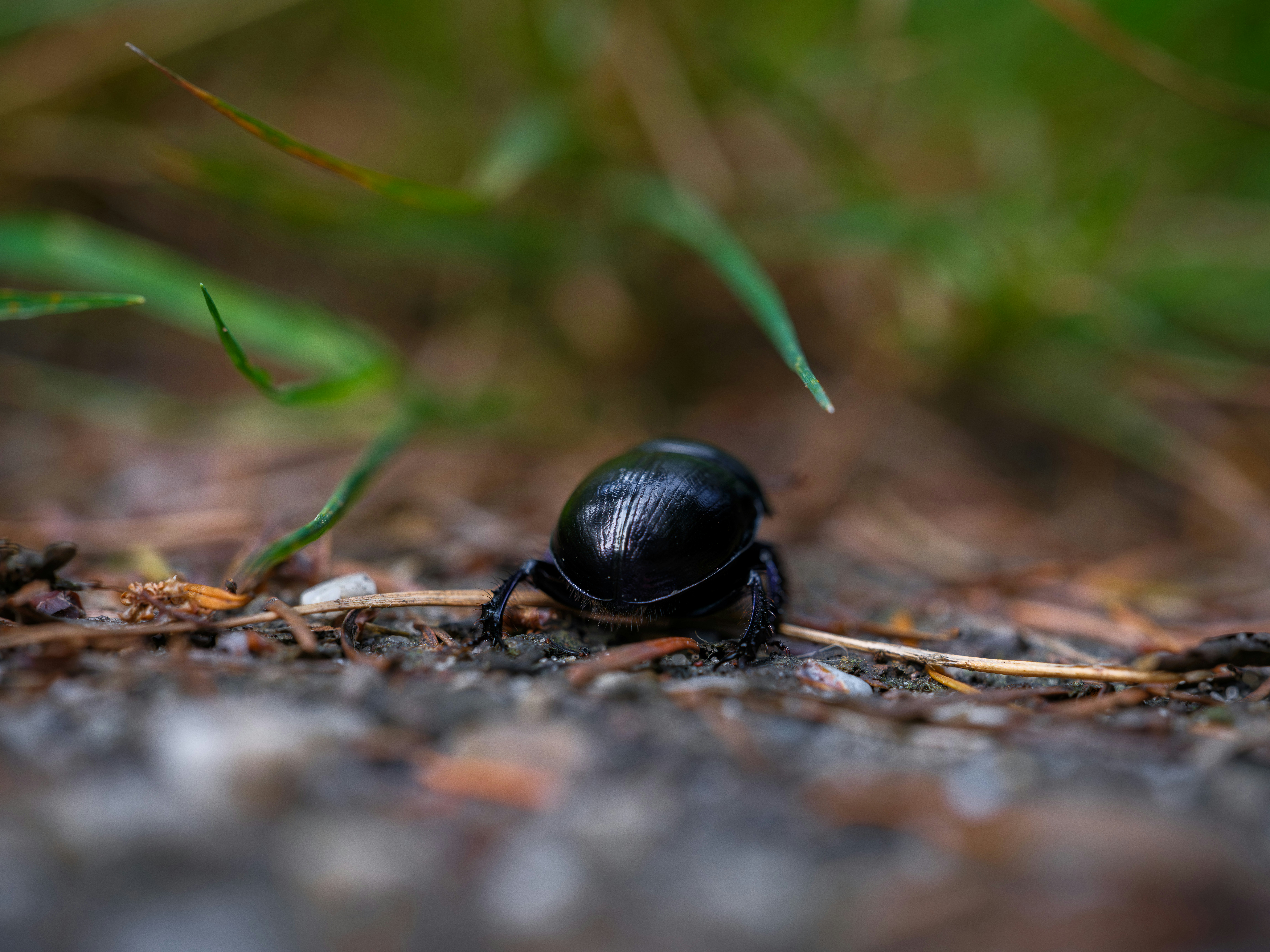 Photo by haberdoedas