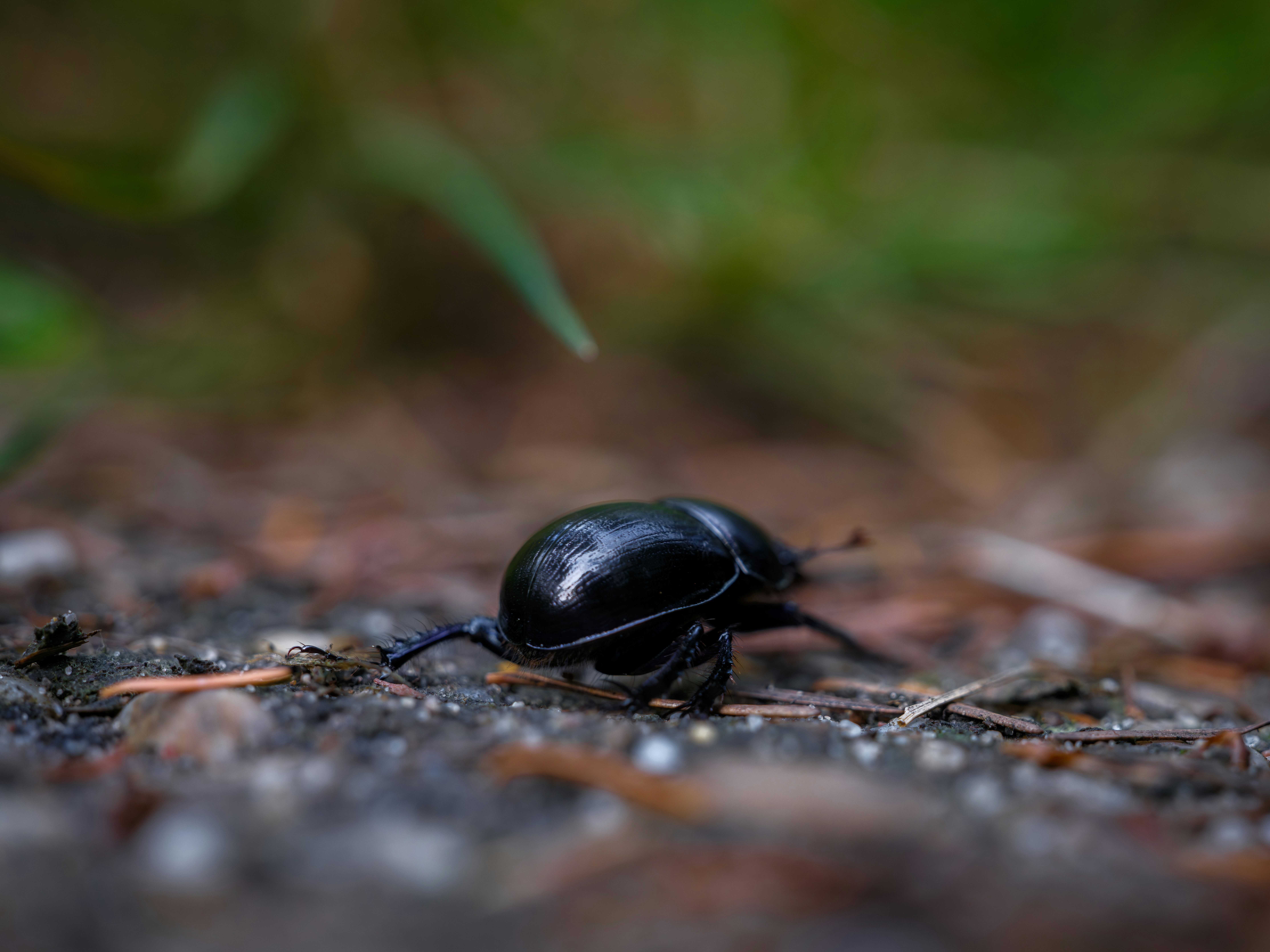 Photo by haberdoedas