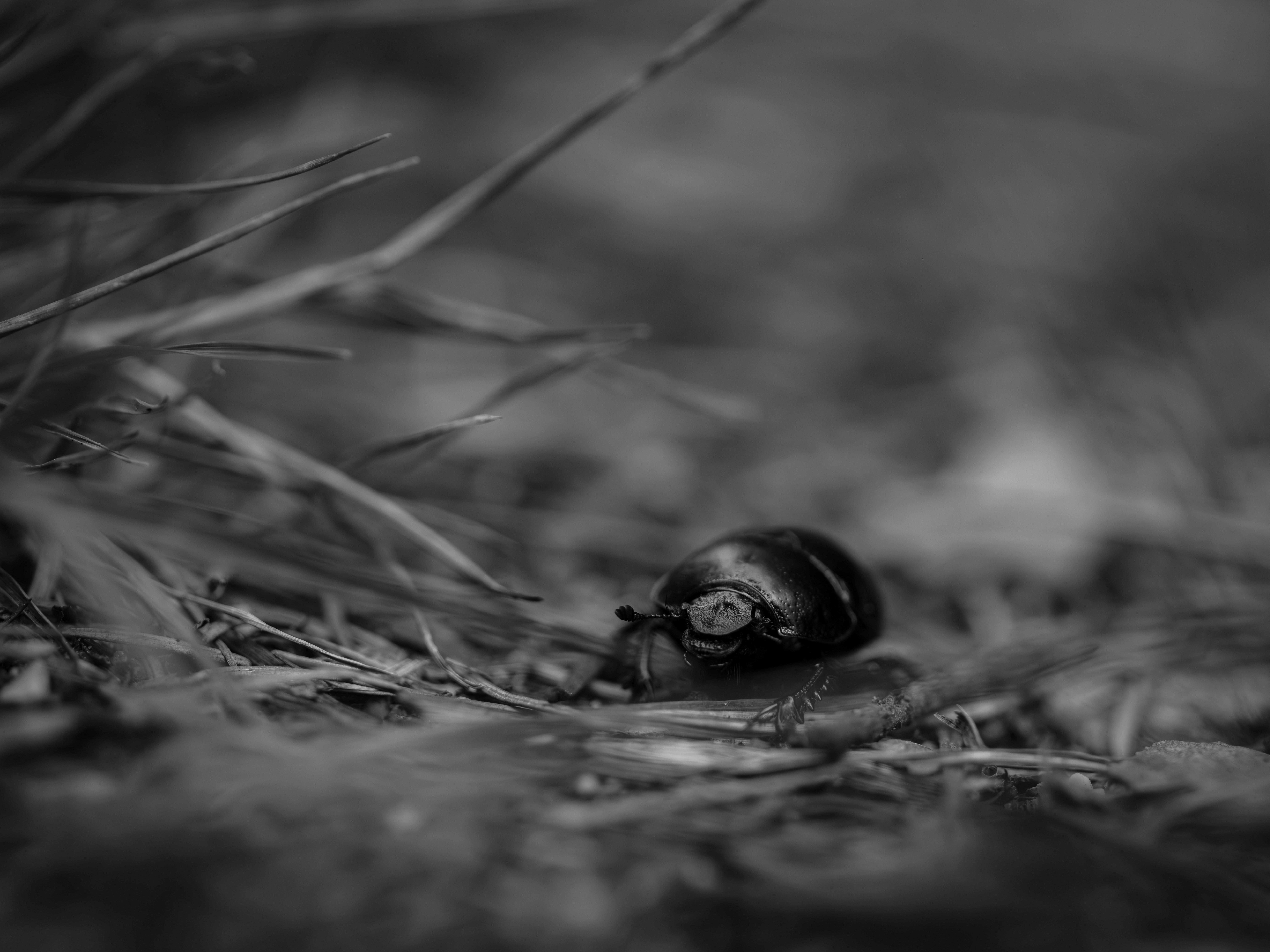 Photo by haberdoedas