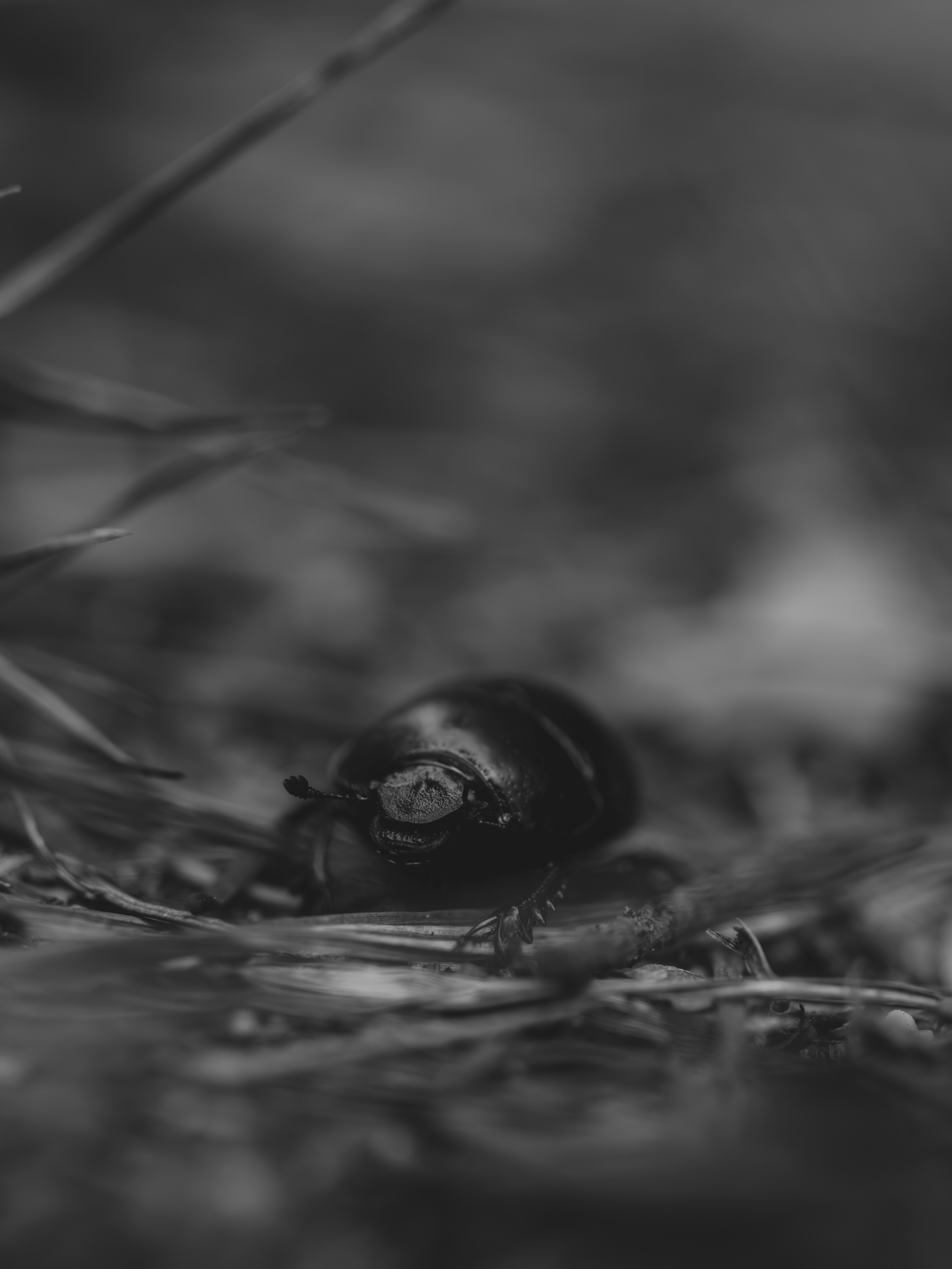 Photo by haberdoedas