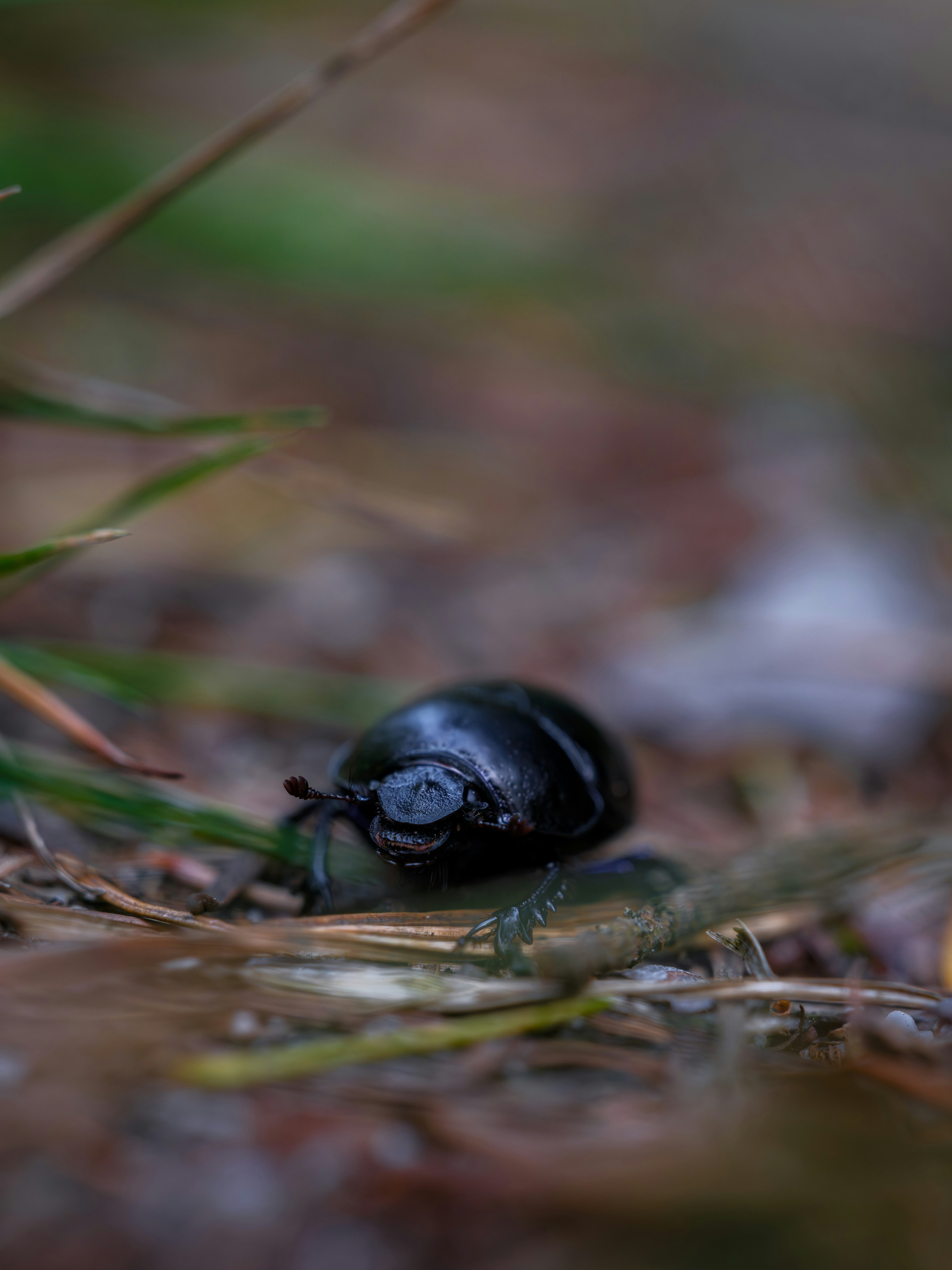 Photo by haberdoedas