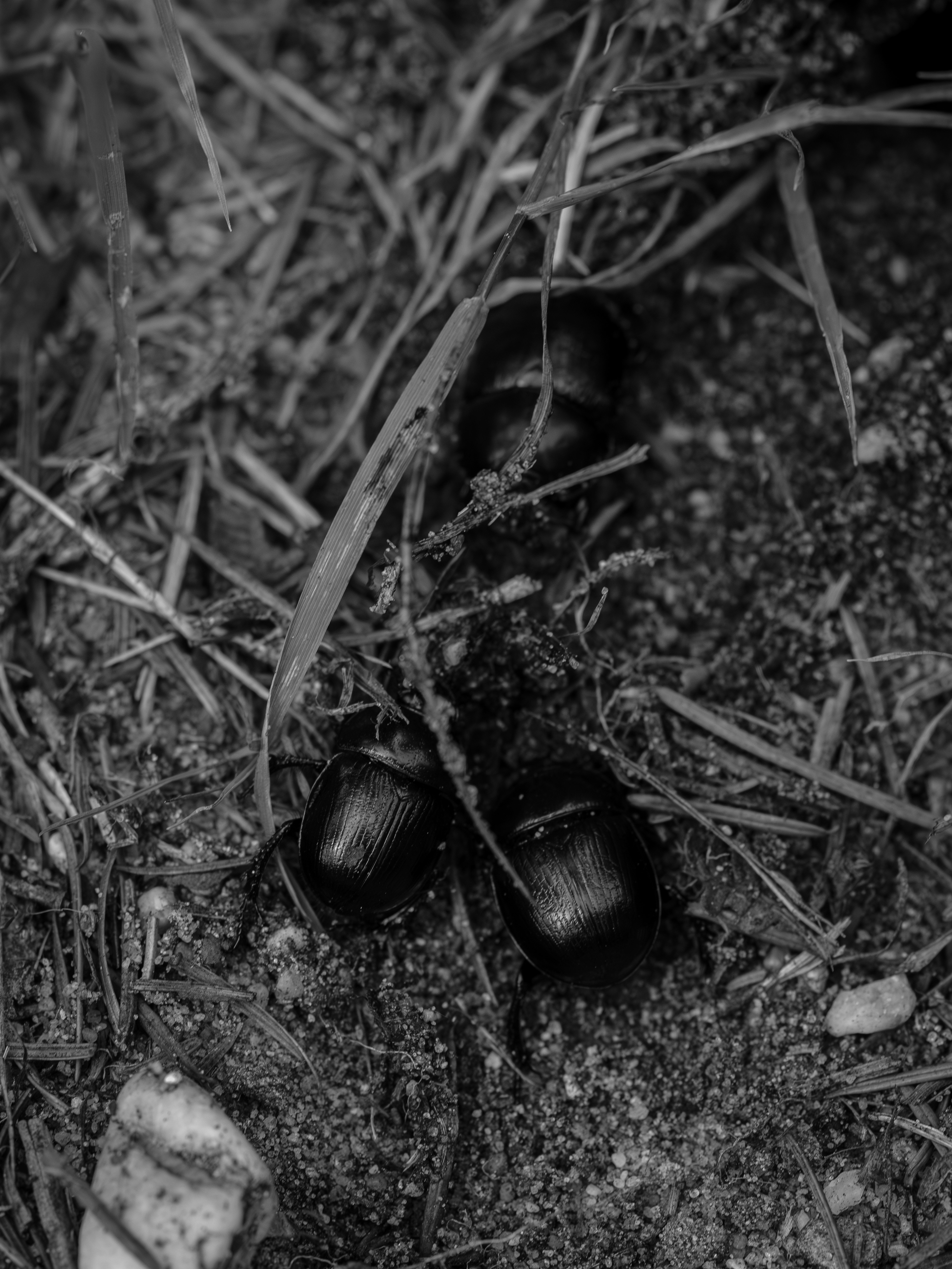 Photo by haberdoedas