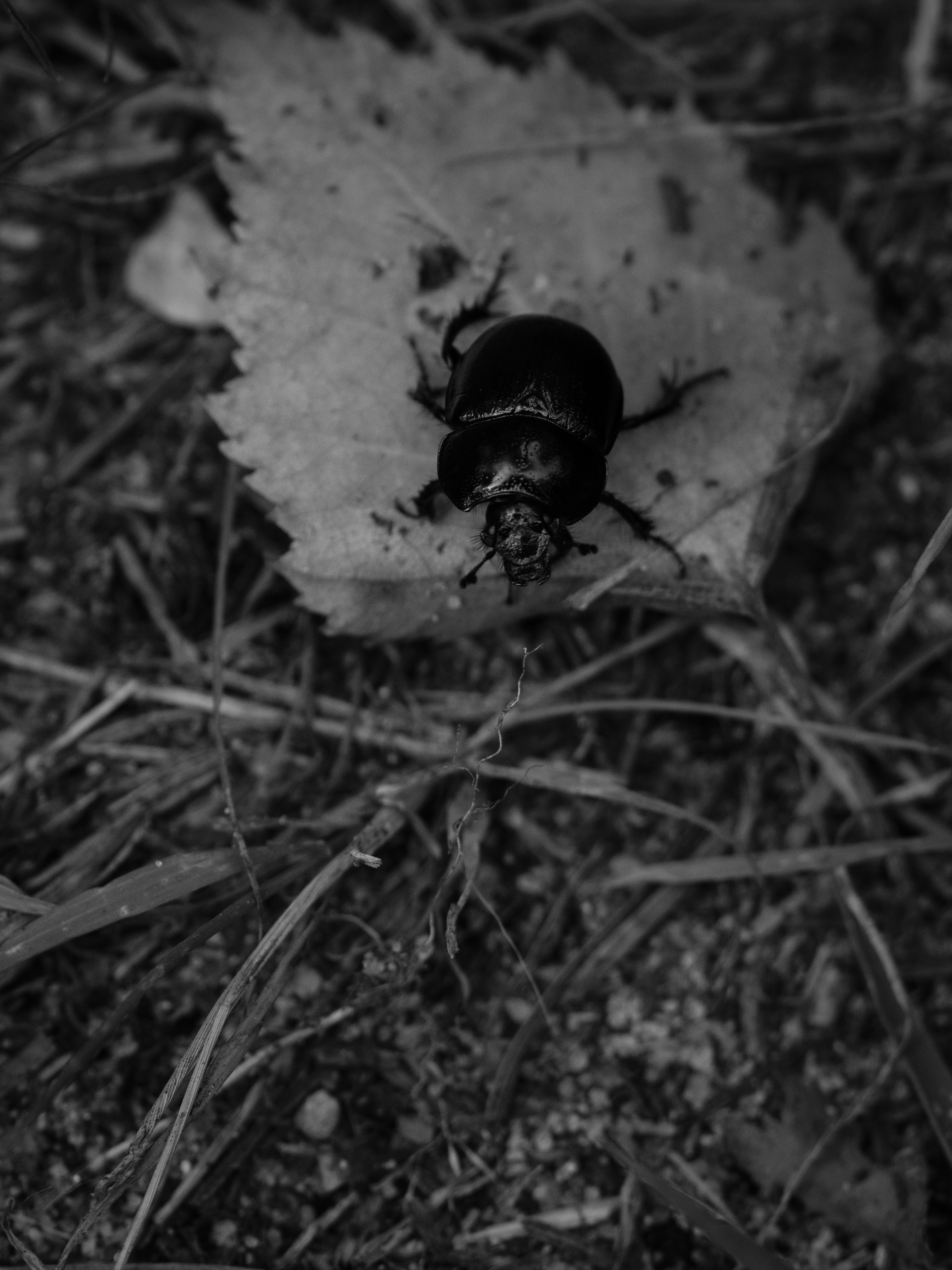 Photo by haberdoedas