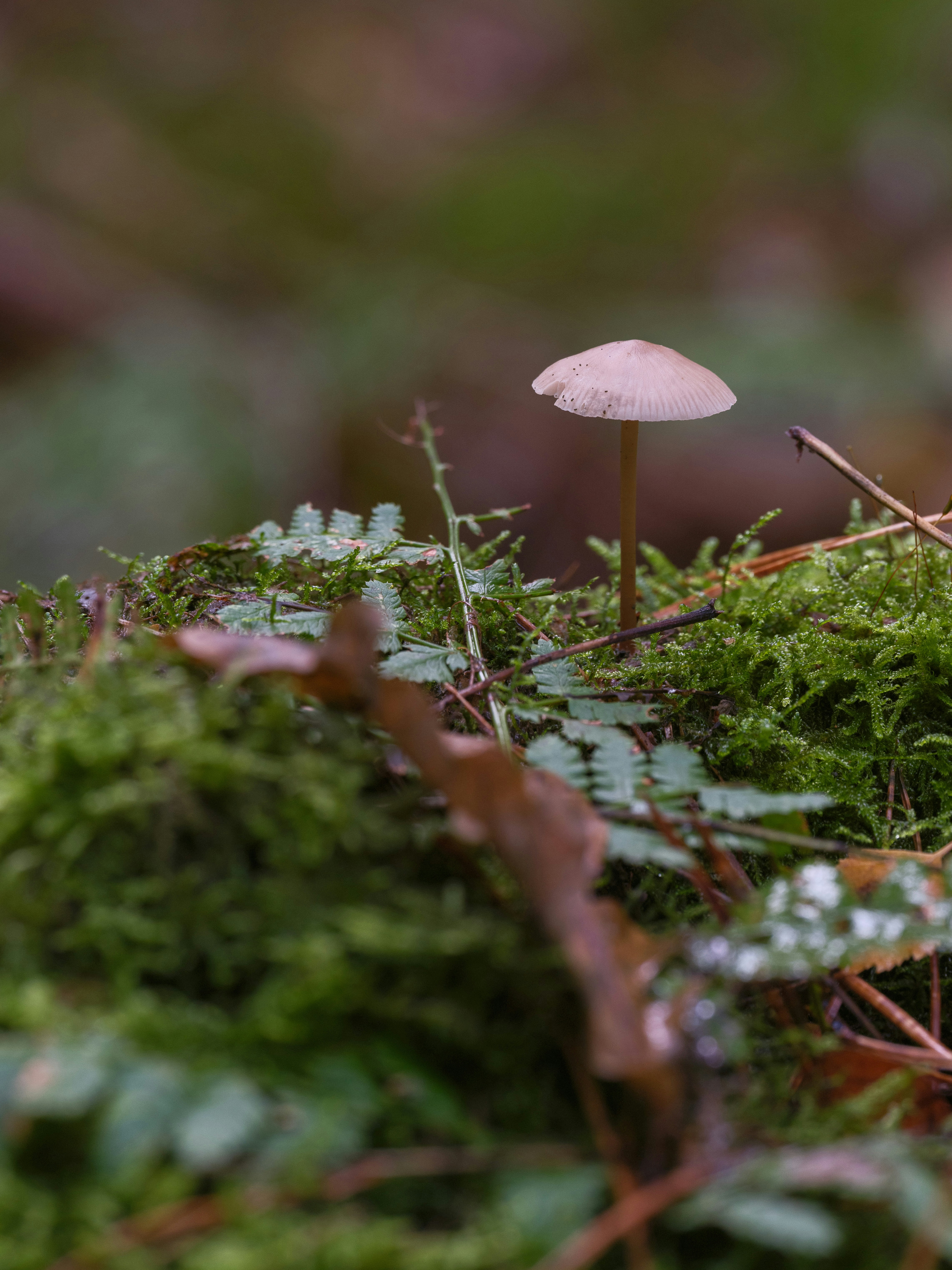 Photo by haberdoedas