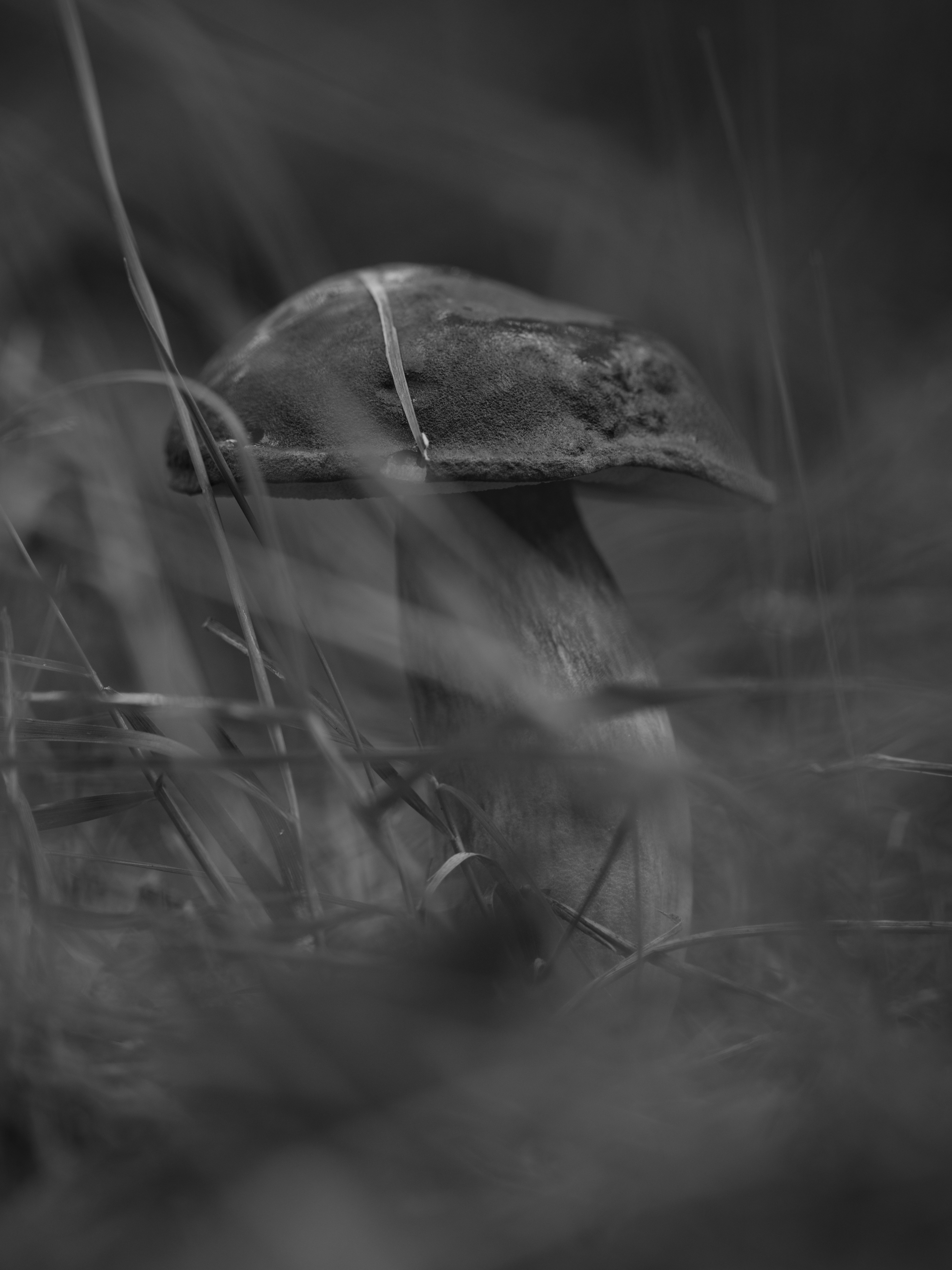 Photo by haberdoedas