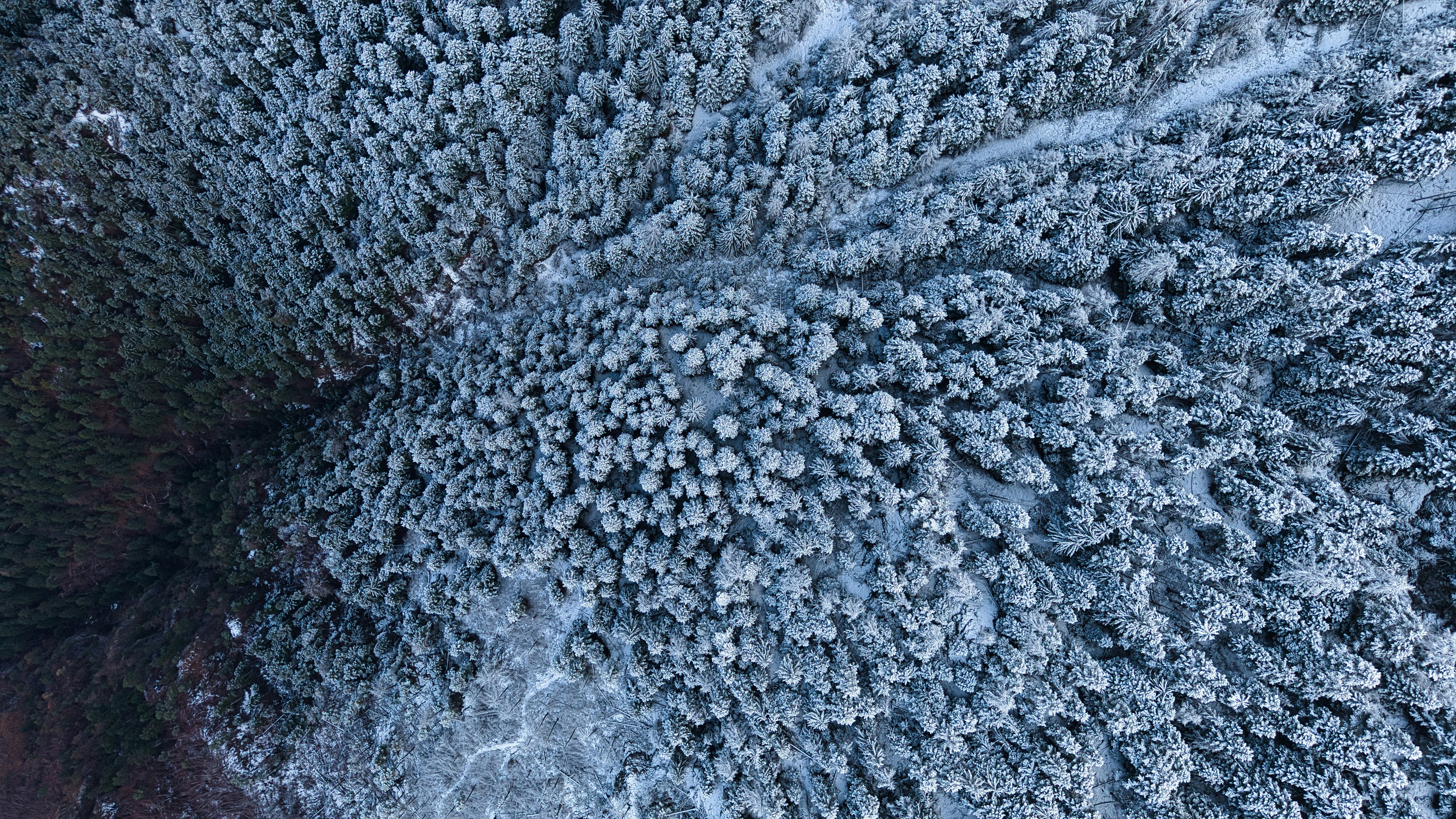 Photo by misterjackdaniel