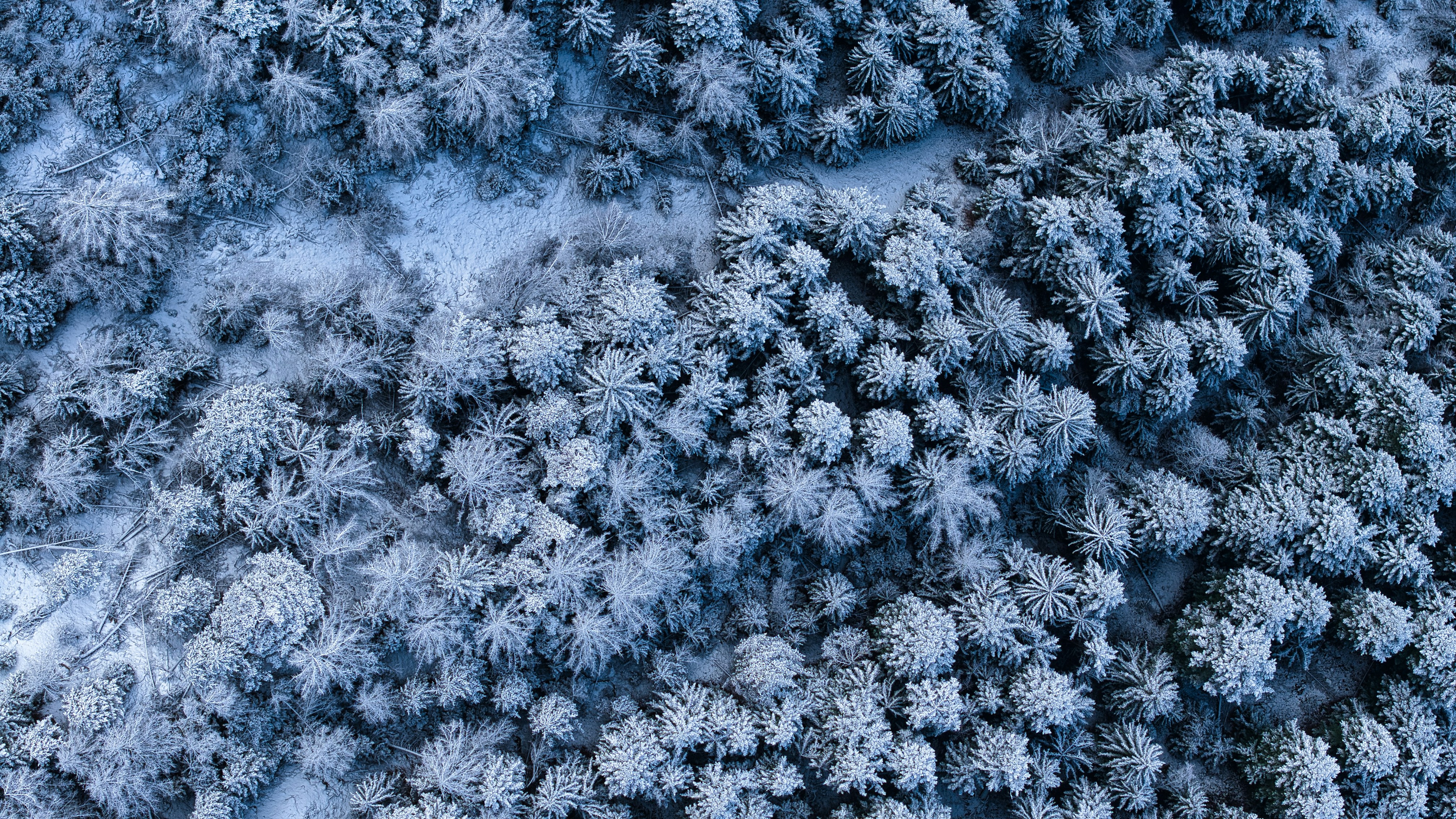 Photo by misterjackdaniel