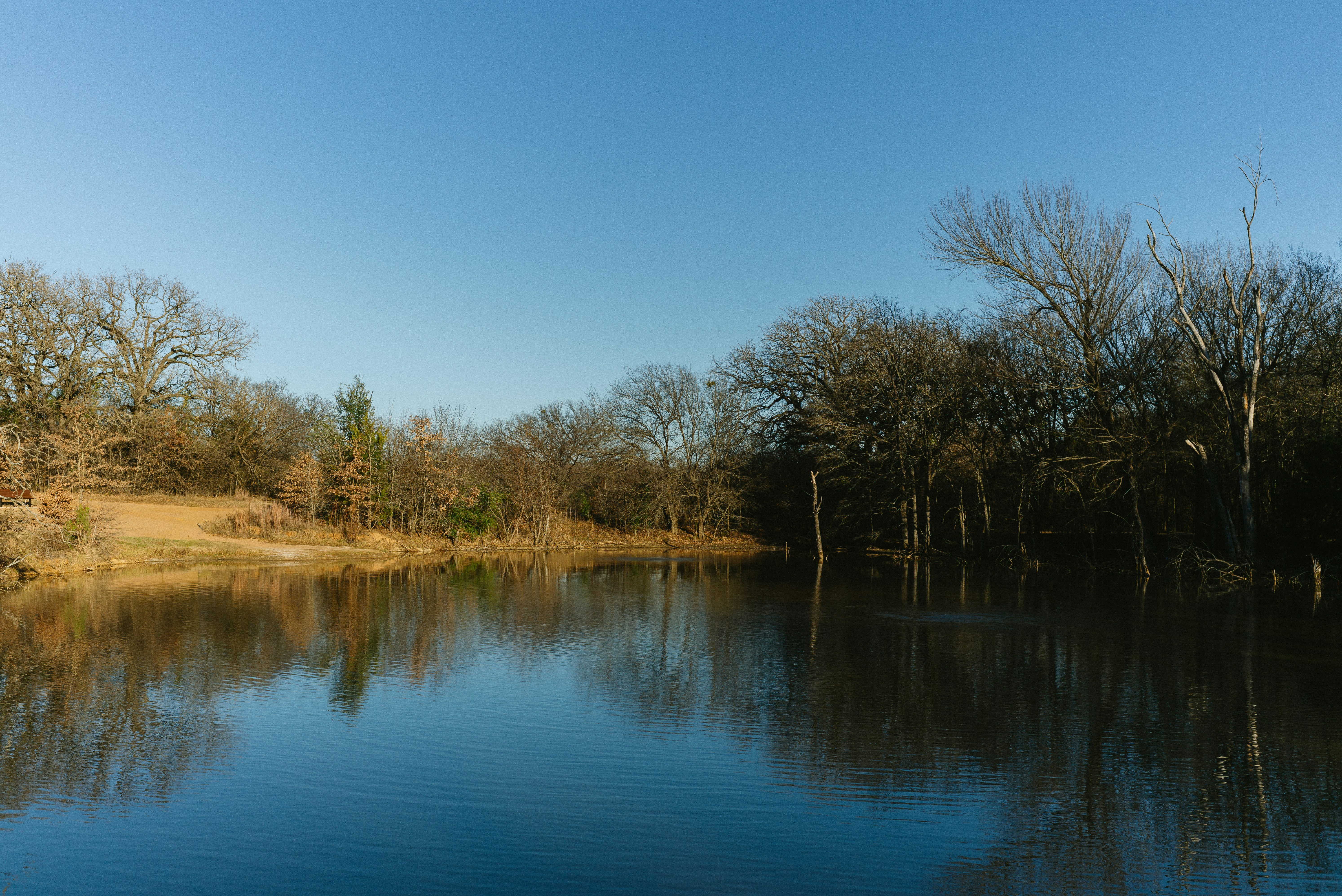 Lac calme réfléchissant les arbres sous un ciel bleu clair