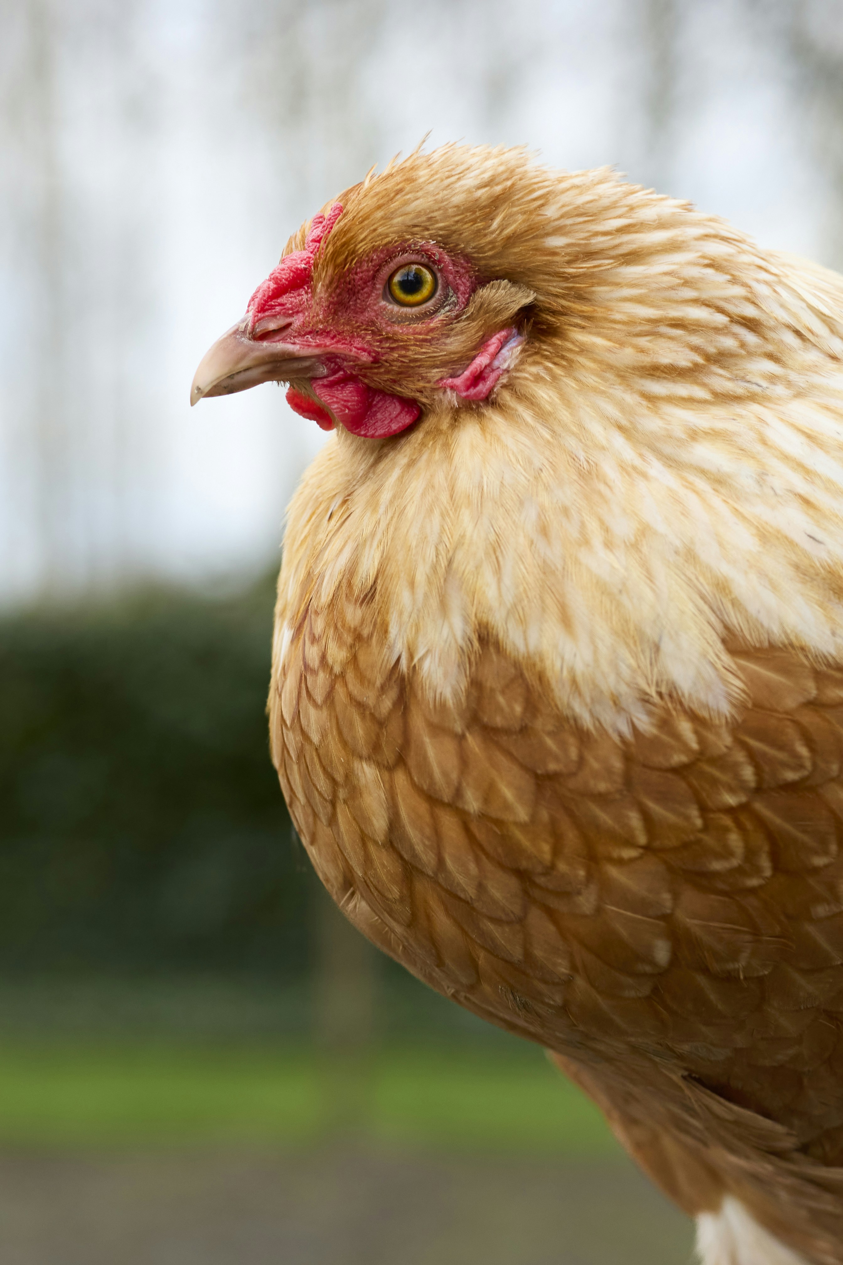 Photo by erwinbosman