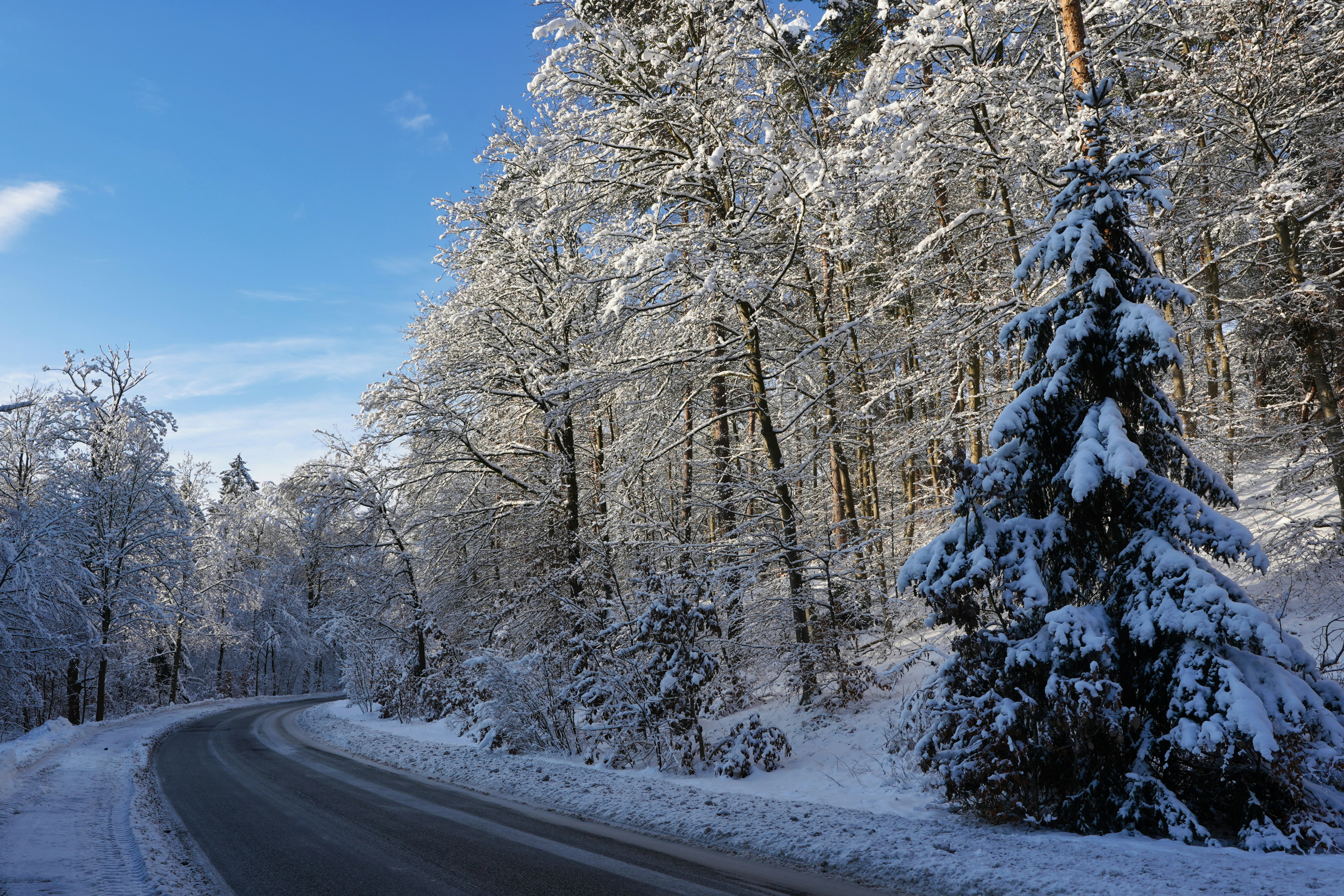 Winding road through a snow-covered forest under blue sky