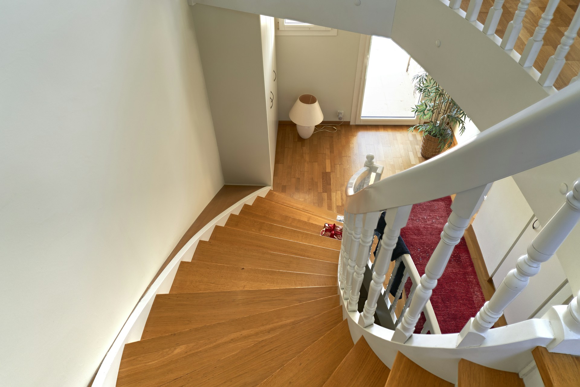 Wooden staircase with white railing and red rug.