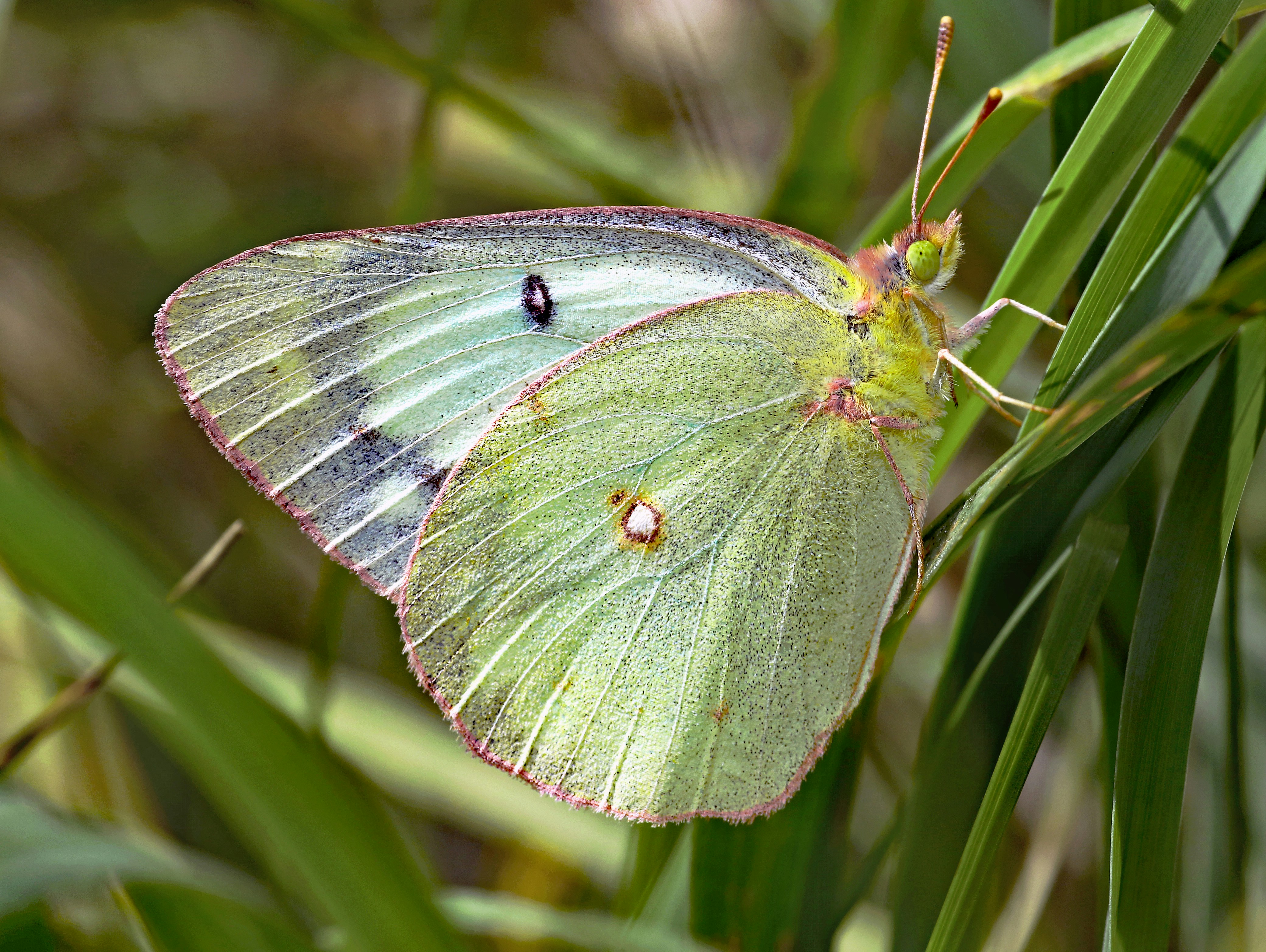 Photo by telliottmbamsc