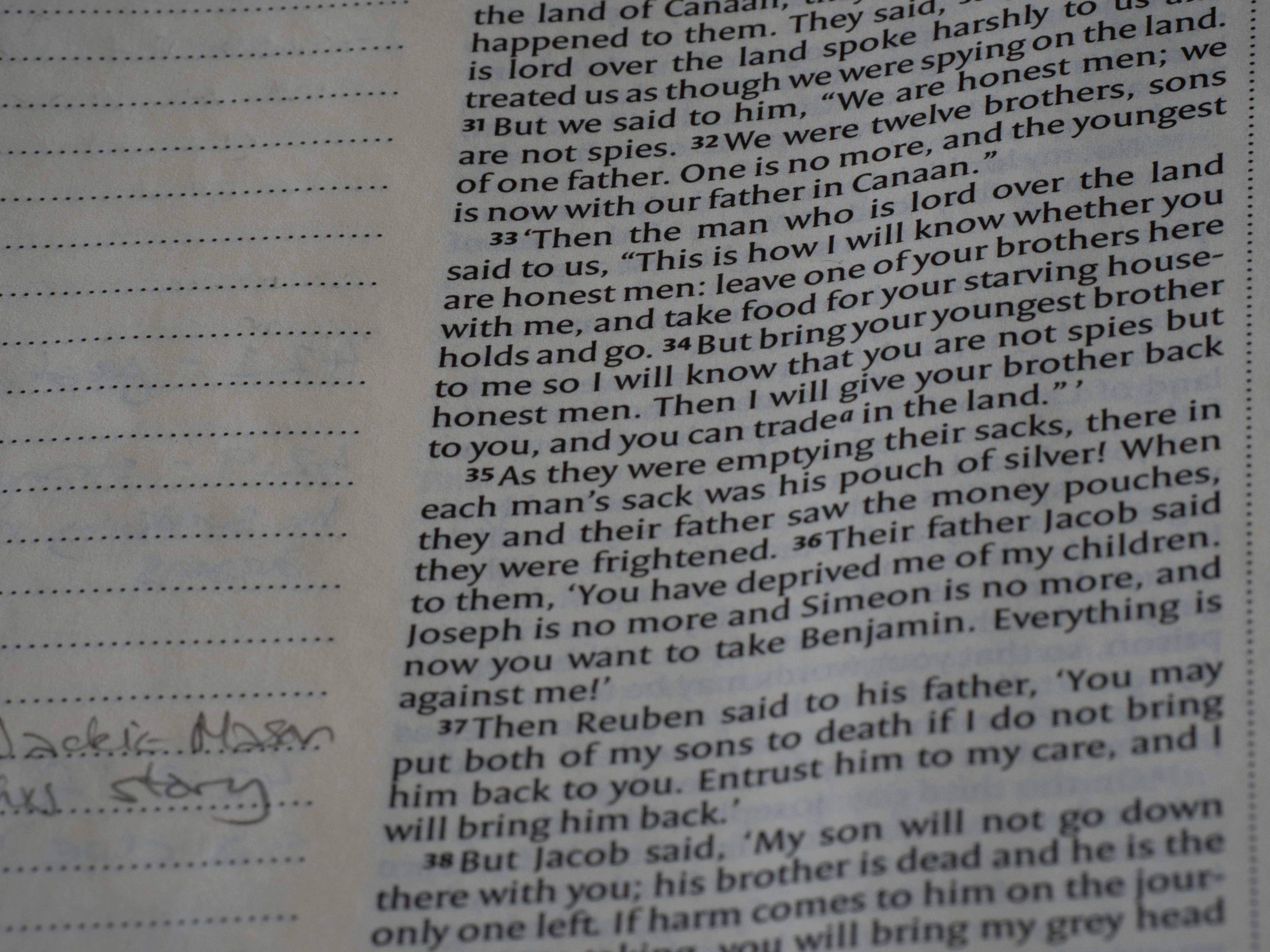 양육비 이행명령신청