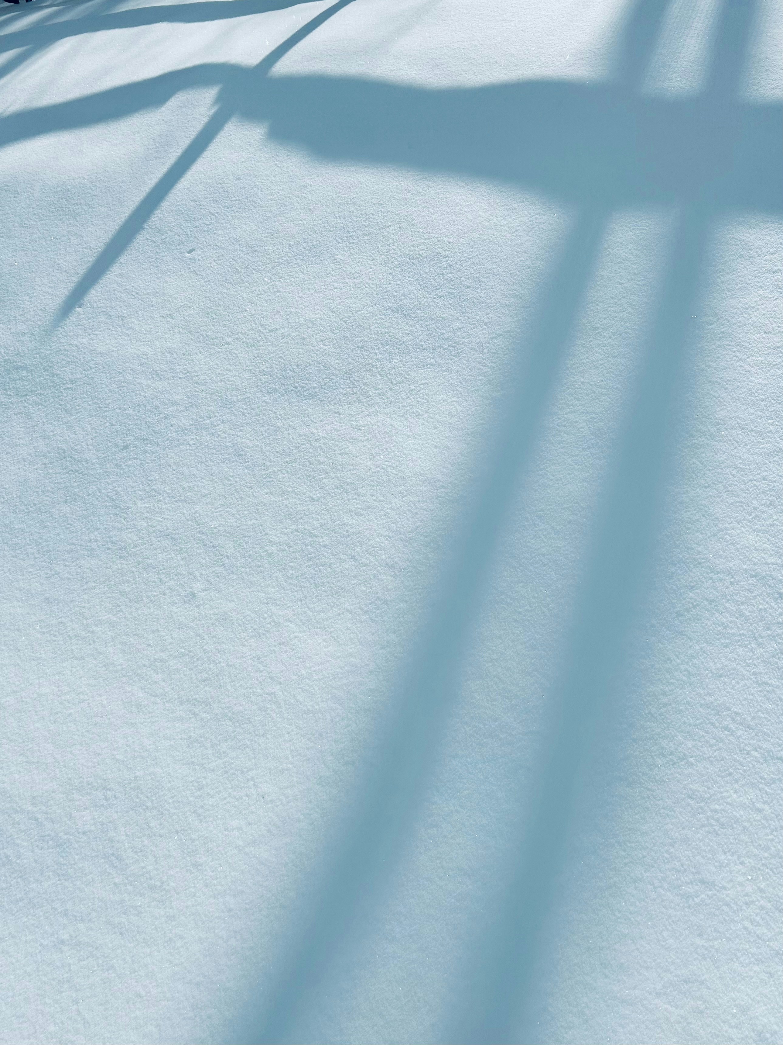 Photo by maxsiyuanma