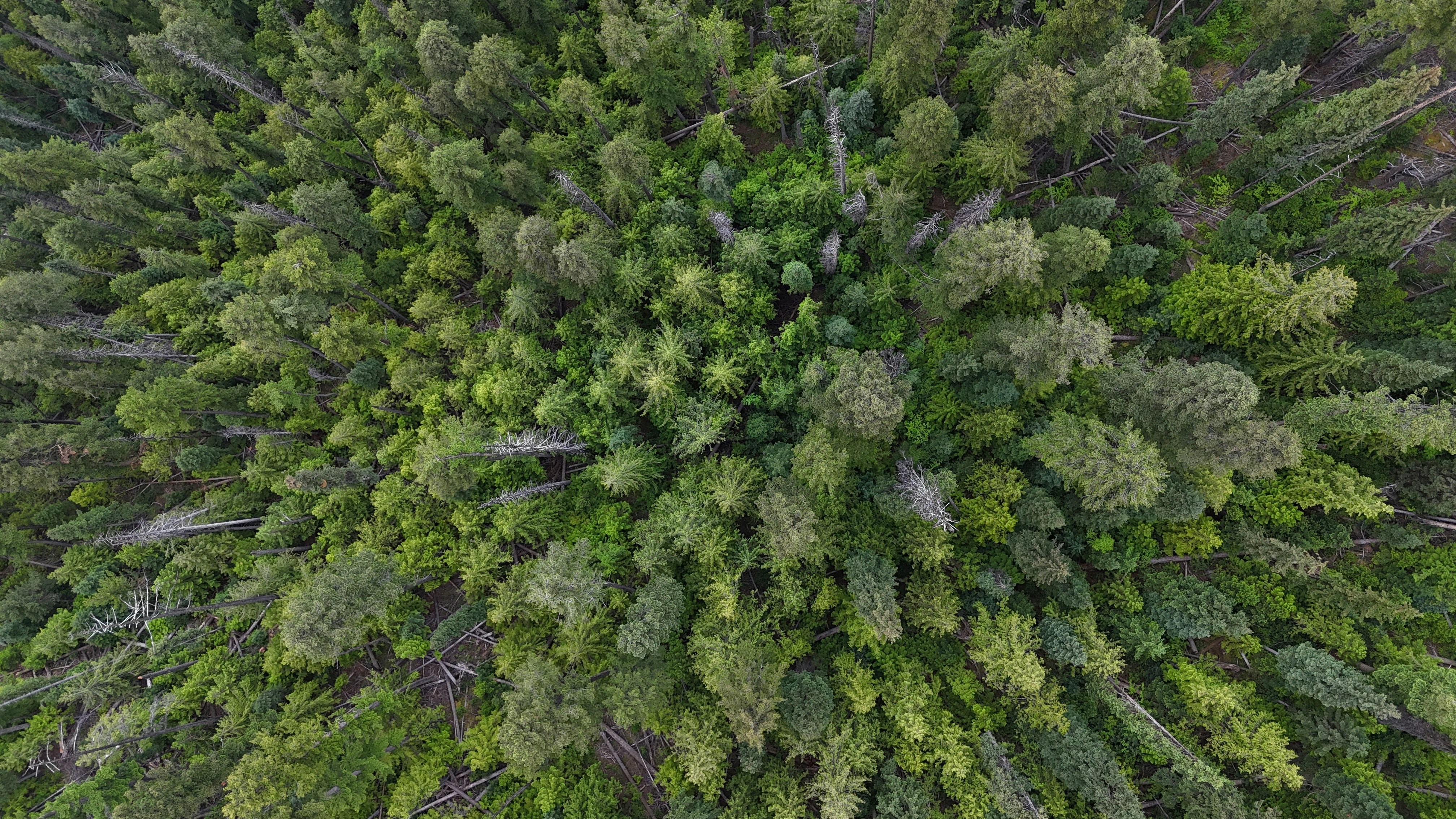 Photo by nathaniel2010