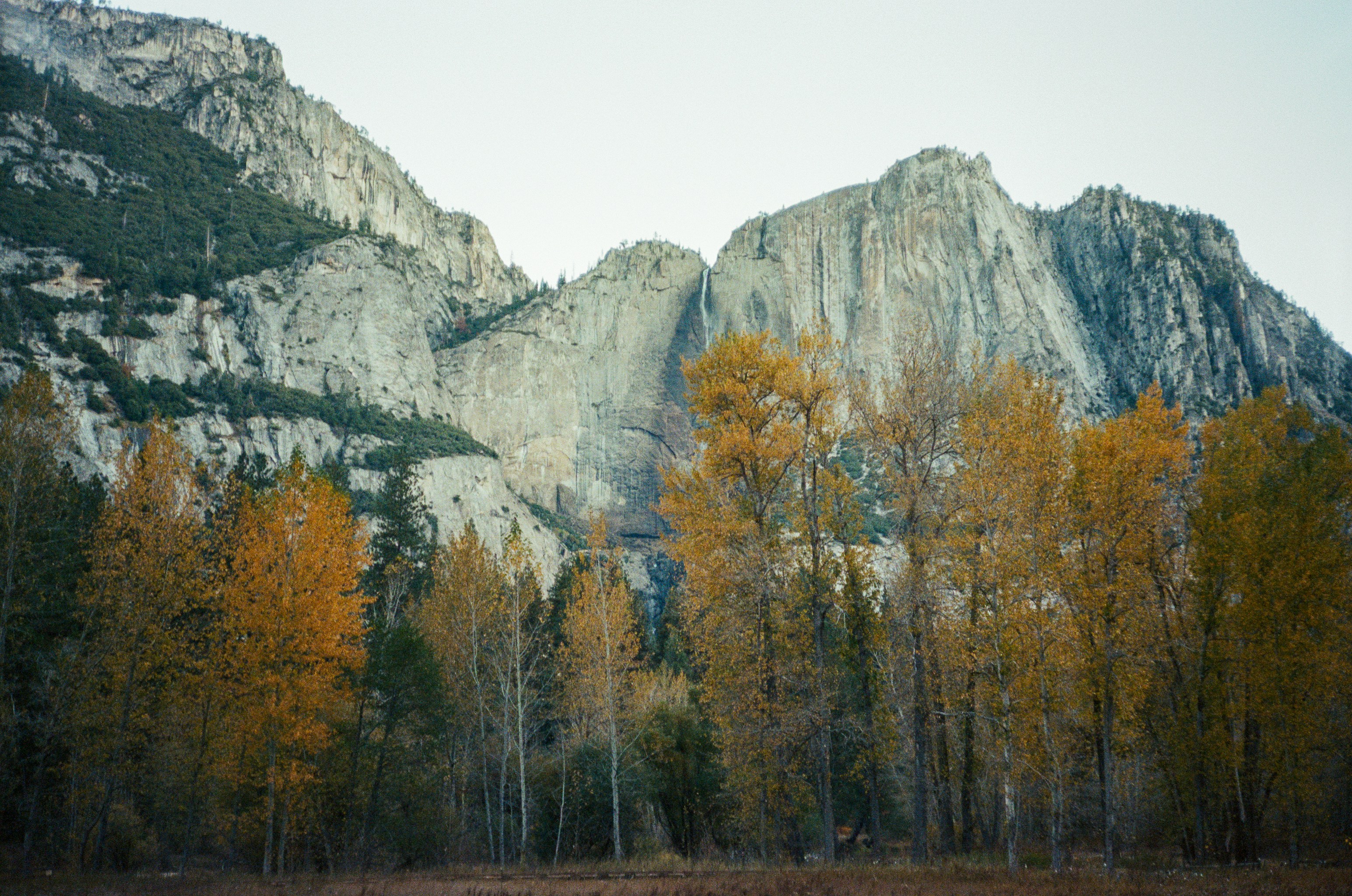 Photo by christopherstites