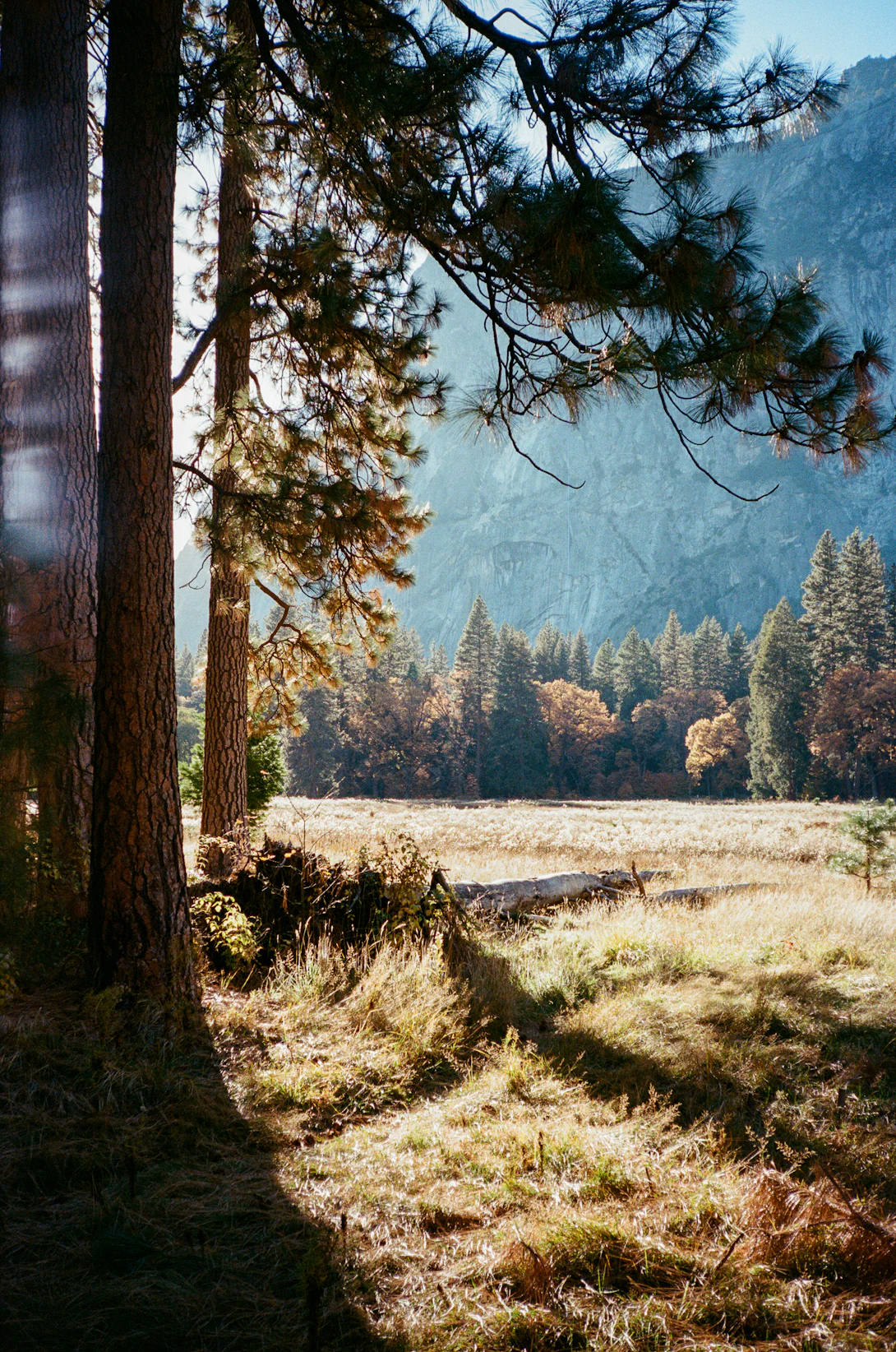 Winter mountain landscape