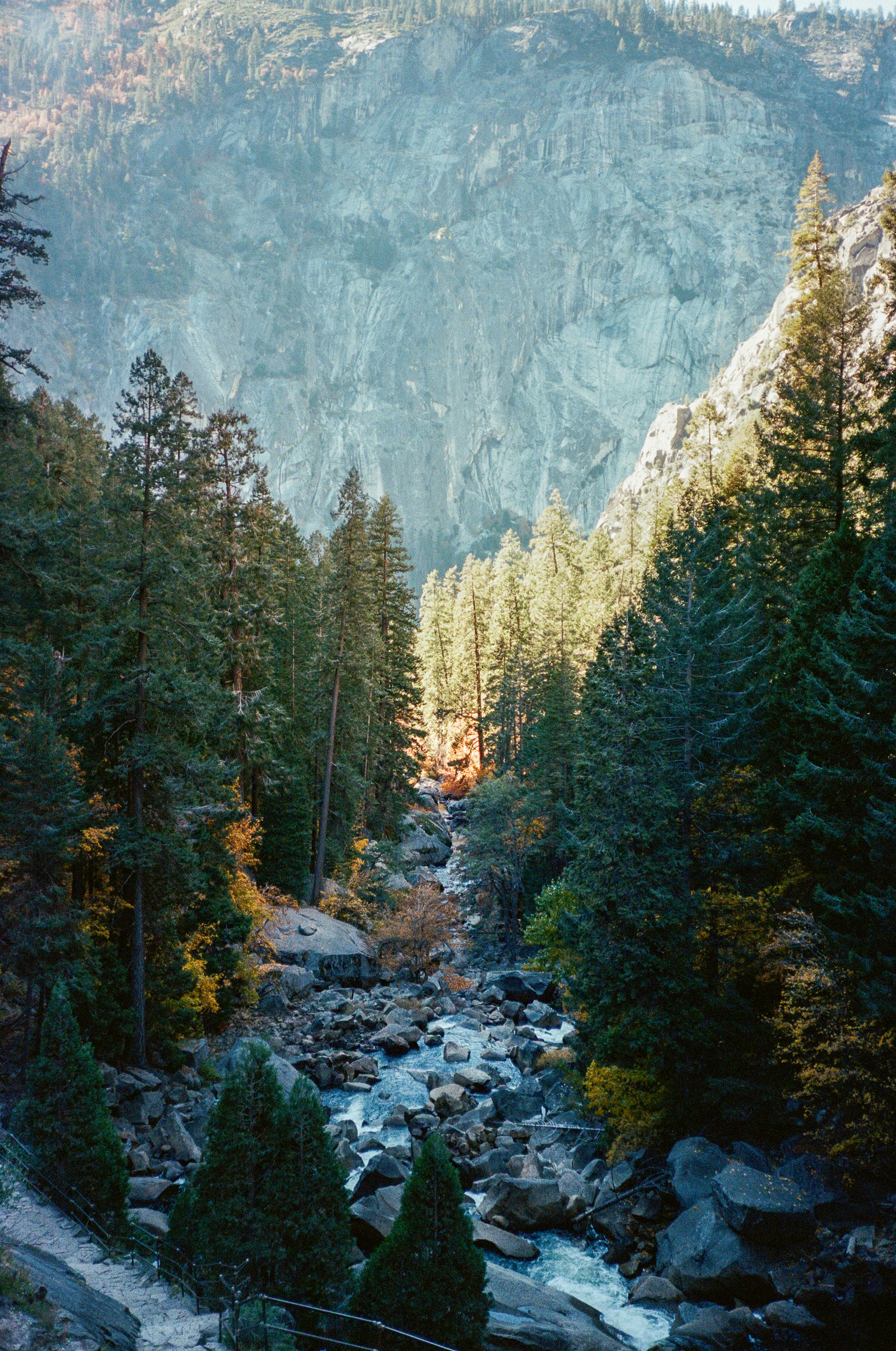A rocky river flows through a sunlit forest valley.