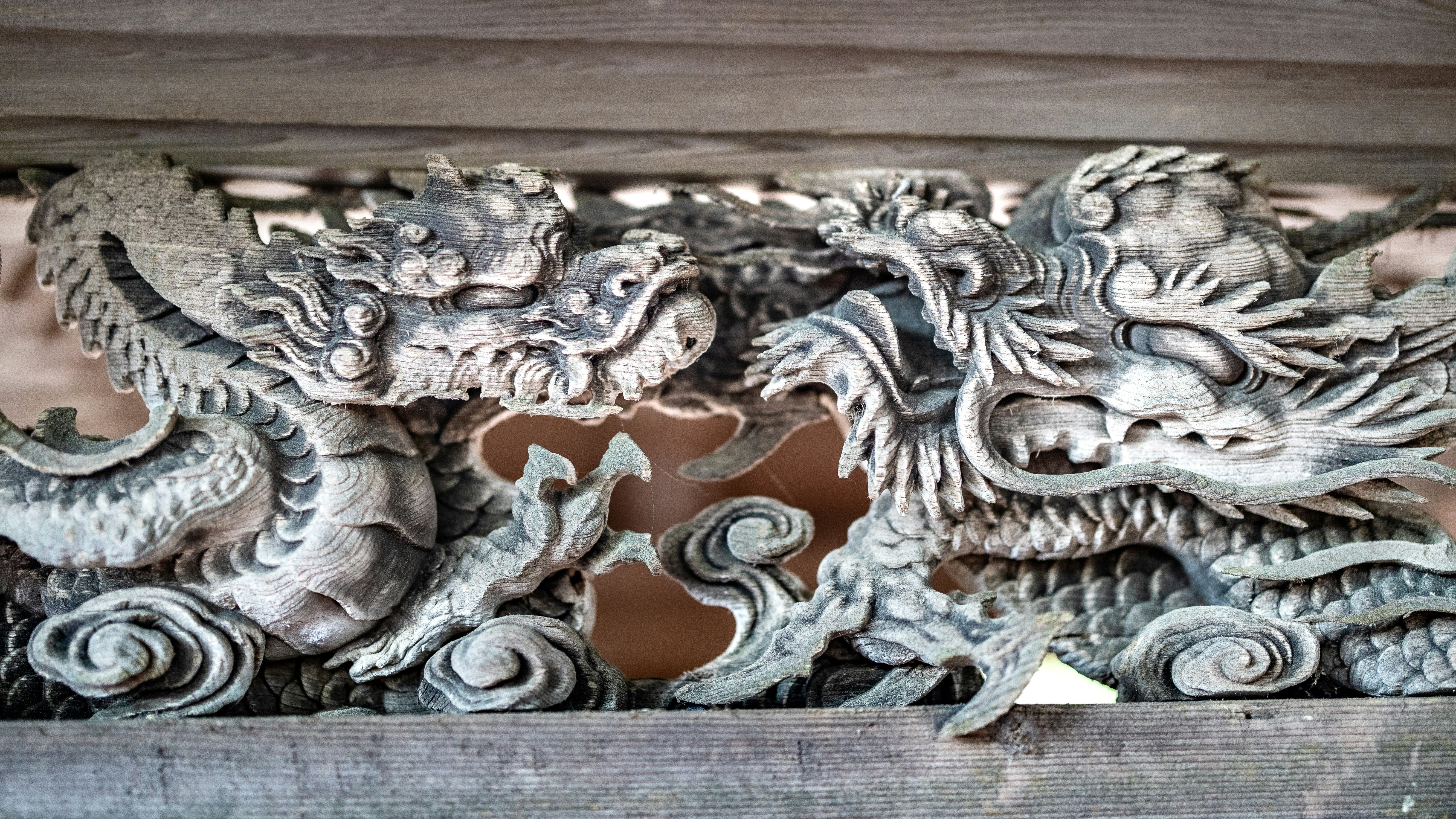 Photo by marekpiwnicki