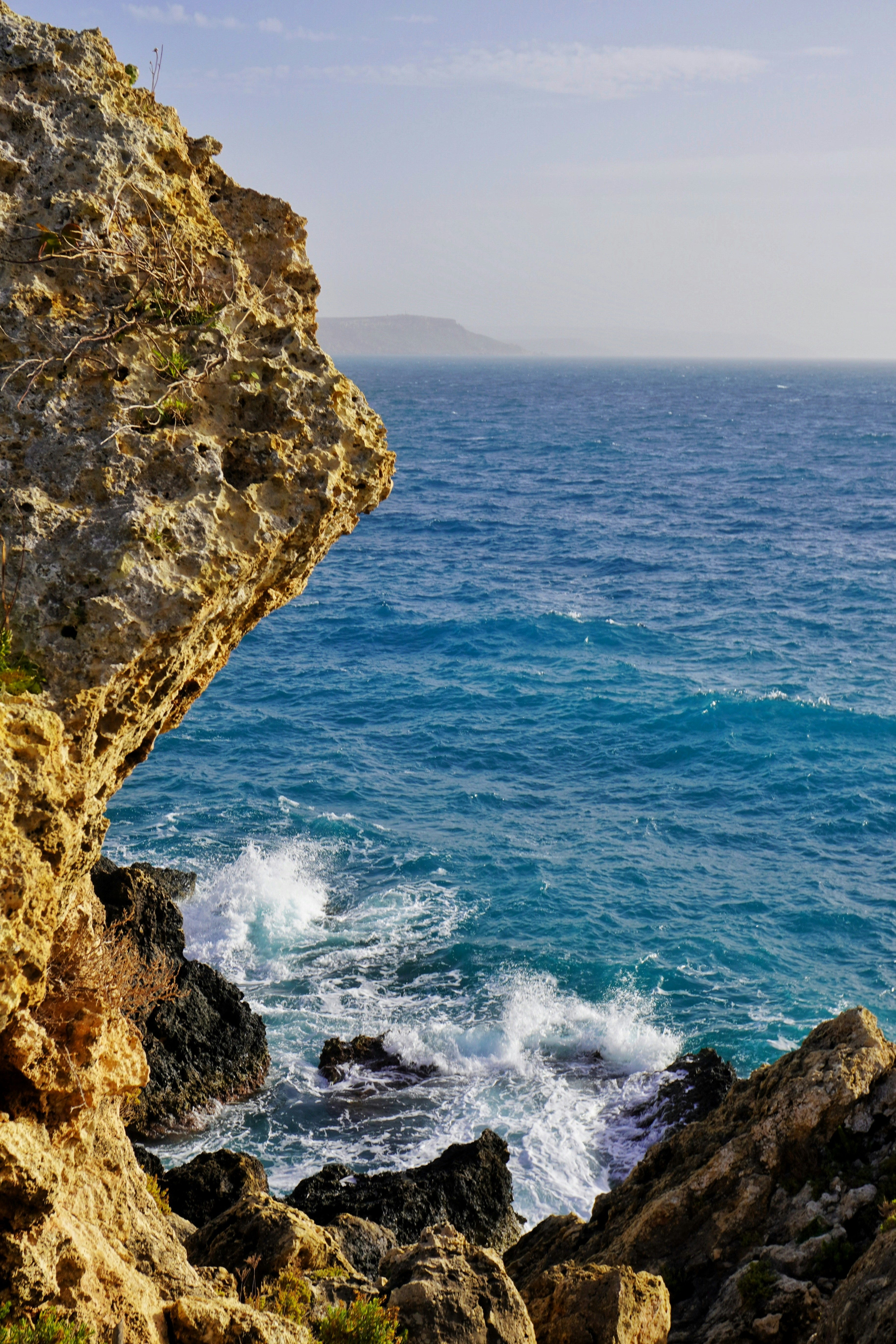 Photo by ioana_roxanna_b