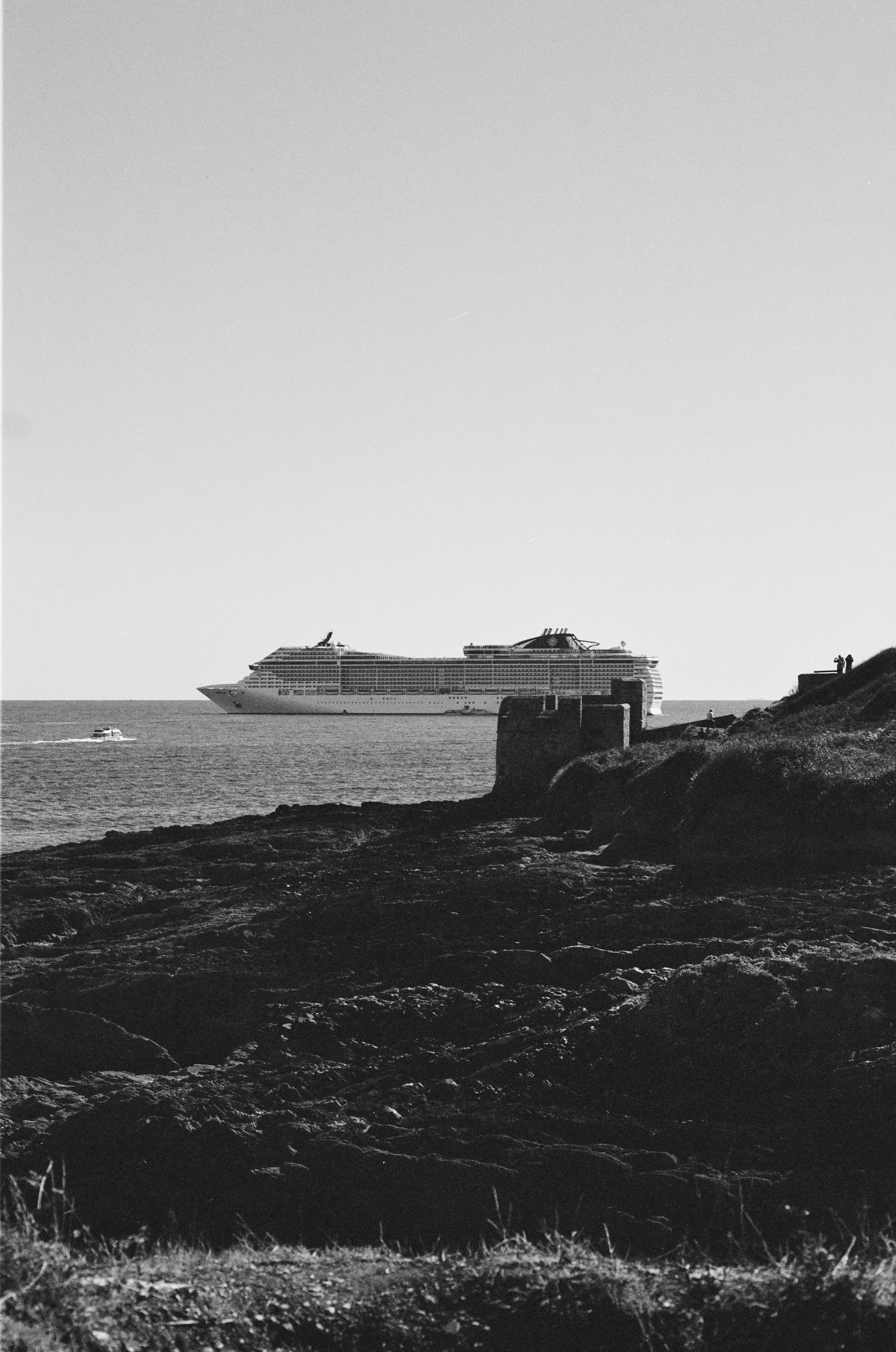 Large cruise ship sails on the ocean near shore.
