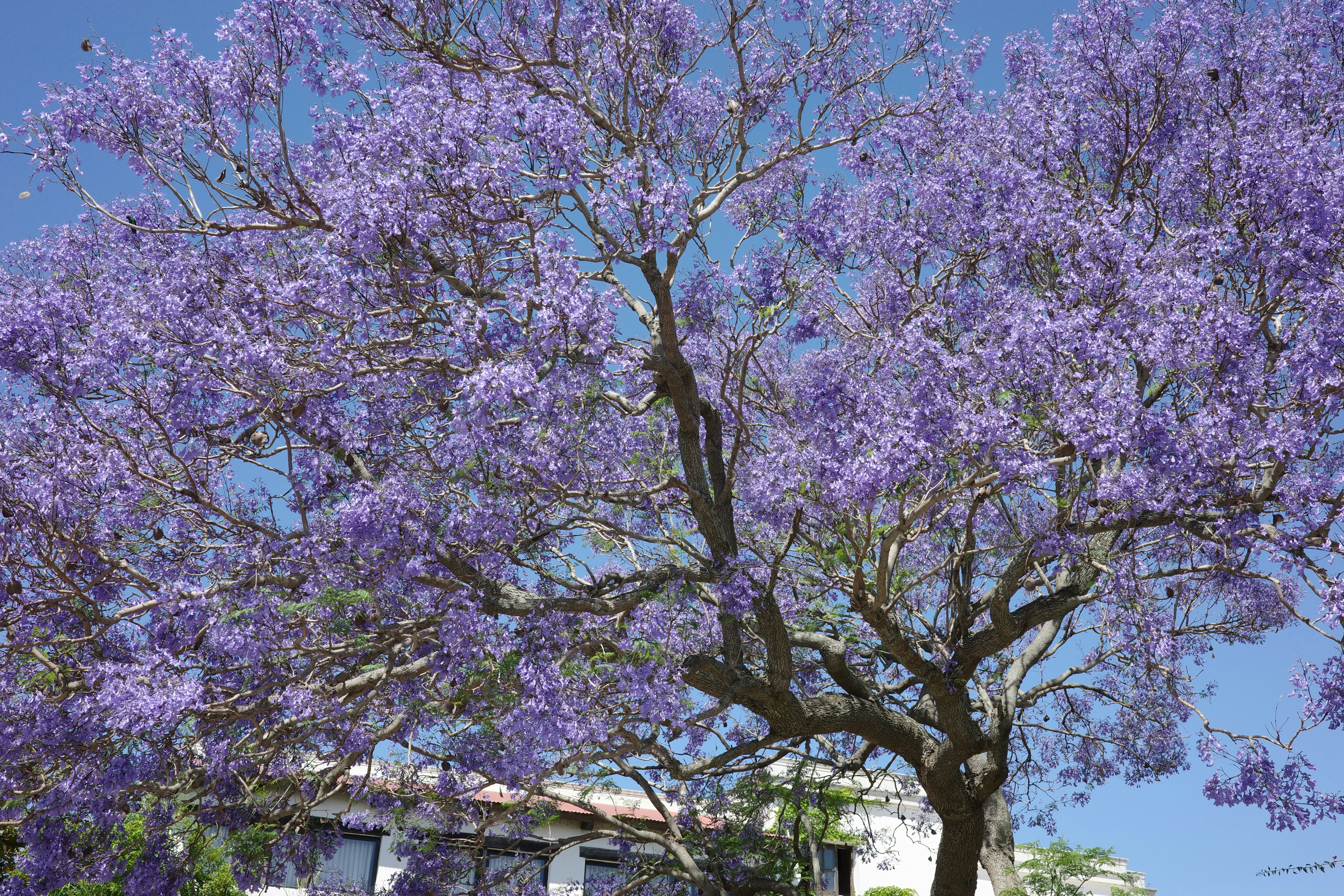 Photo by cheesy_daniel