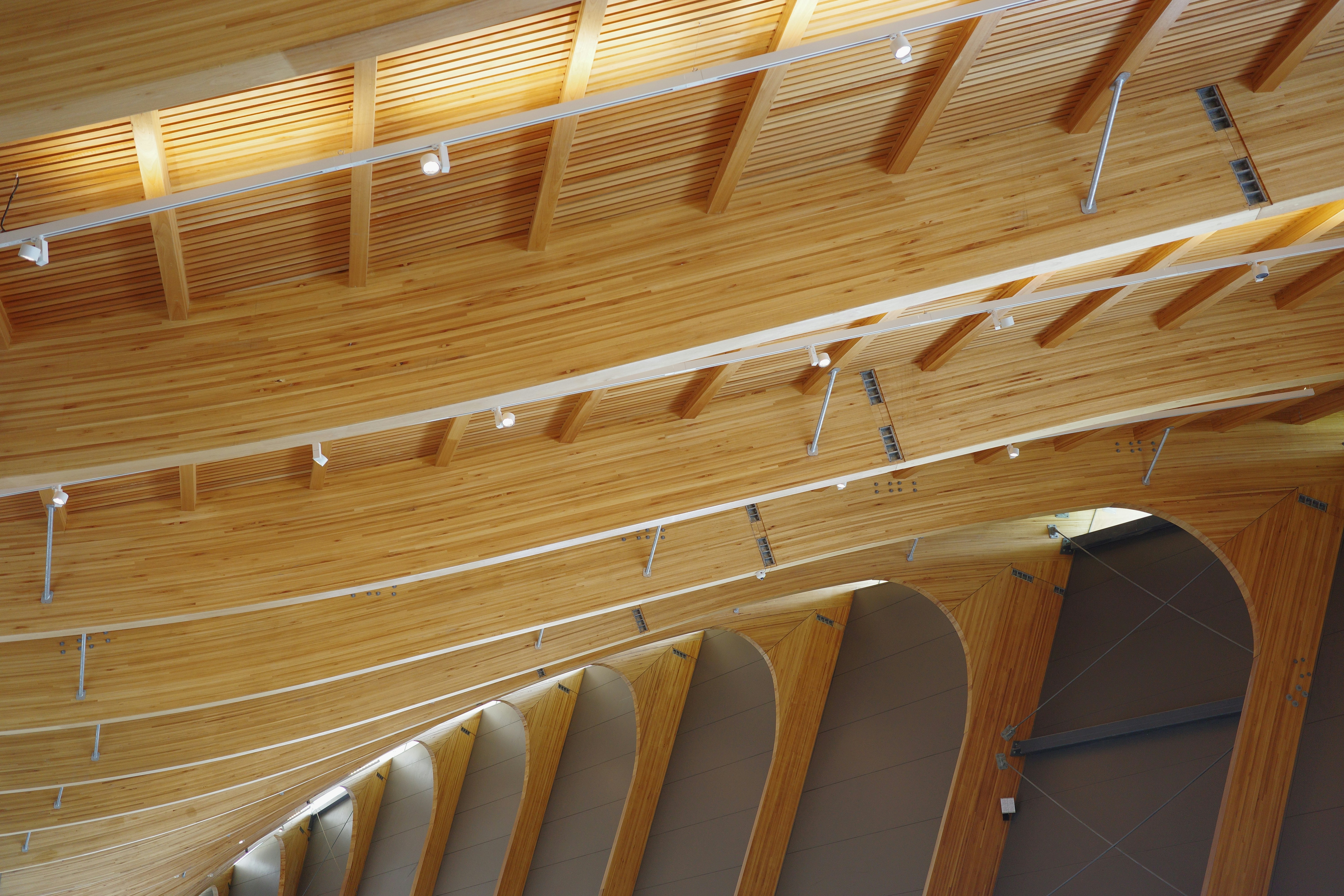 Photo by cheesy_daniel