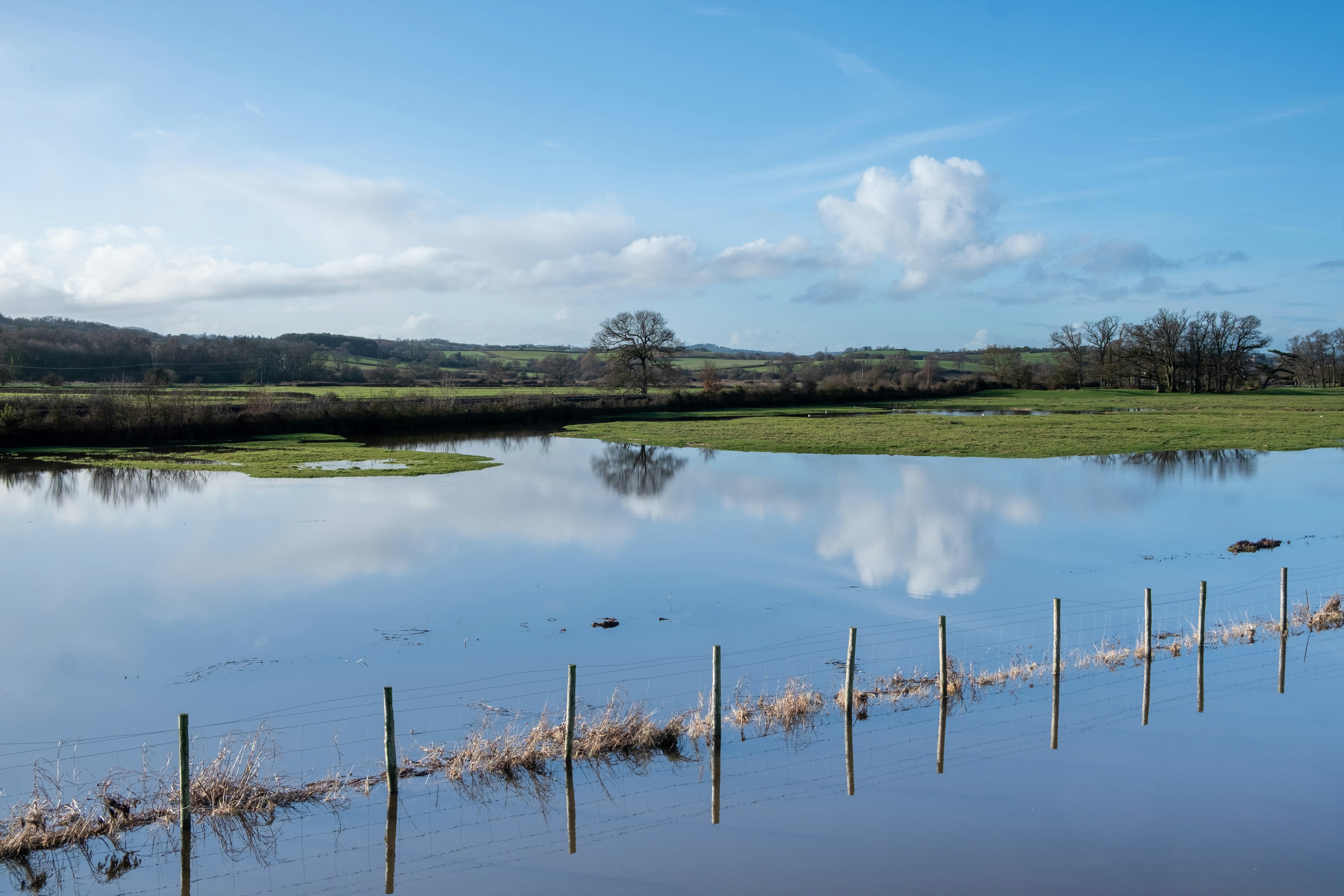 climate impact agriculture