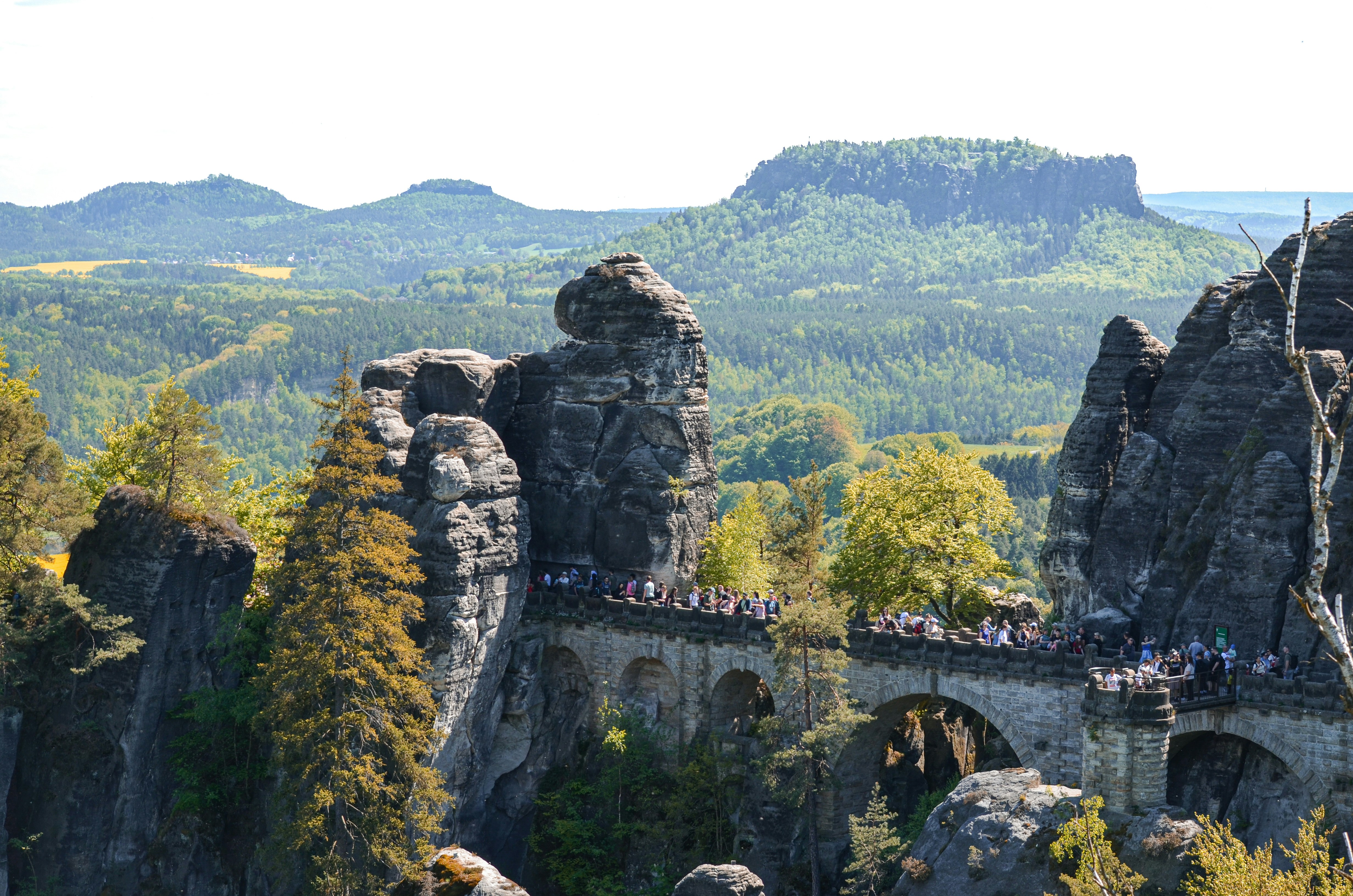 Photo by henry_moellers1901