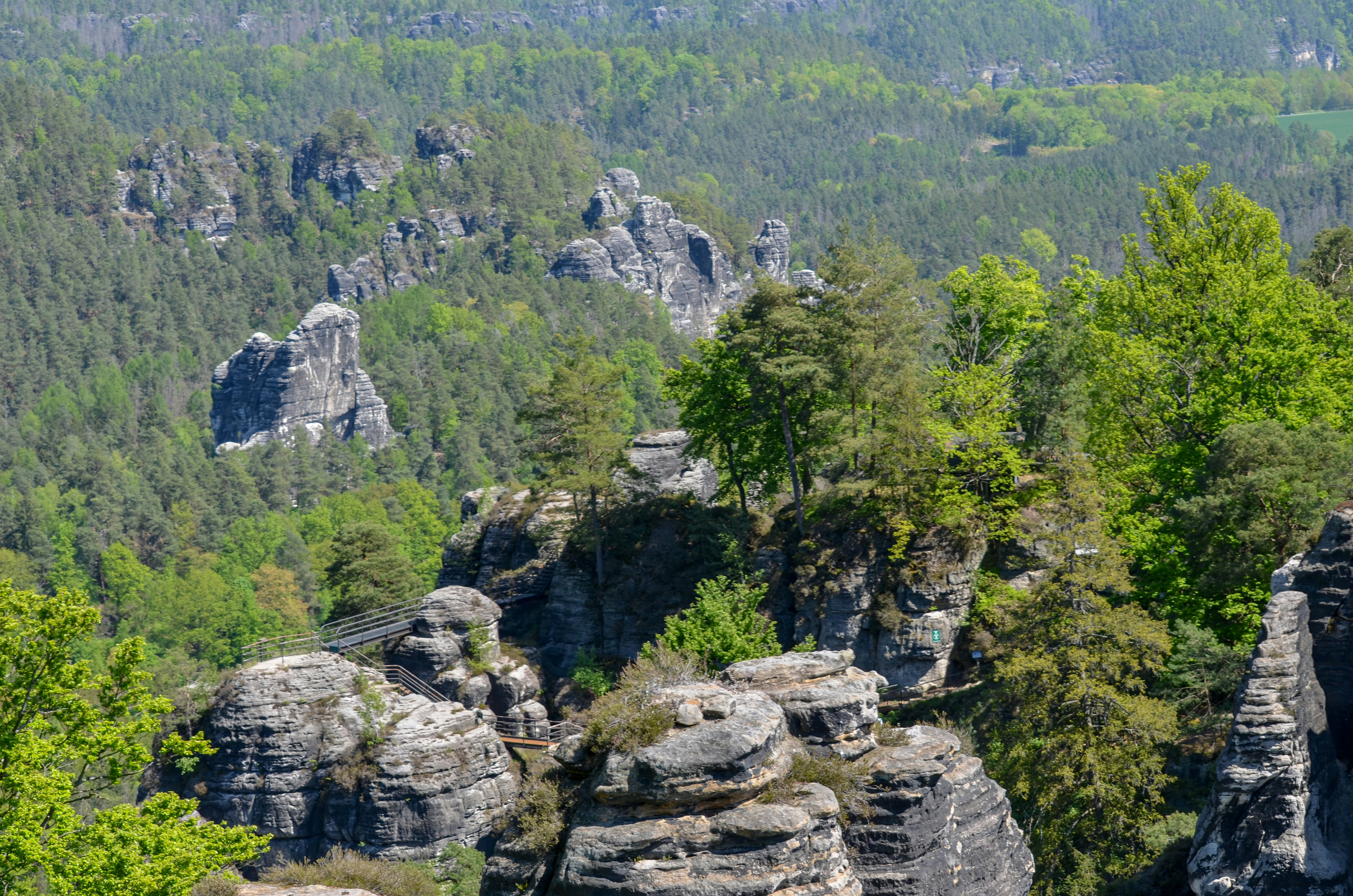 Photo by henry_moellers1901