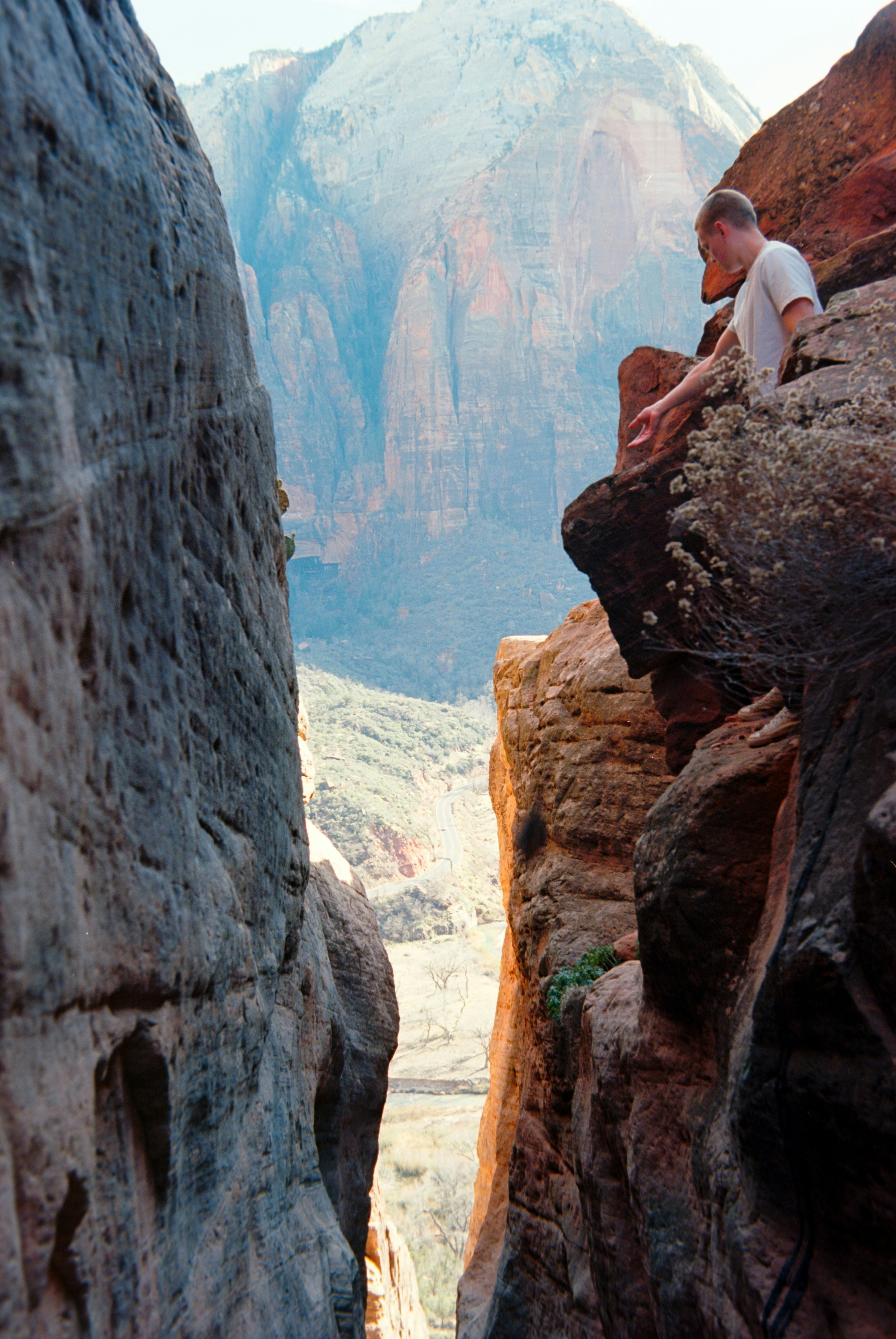 Photo by theguccer2100