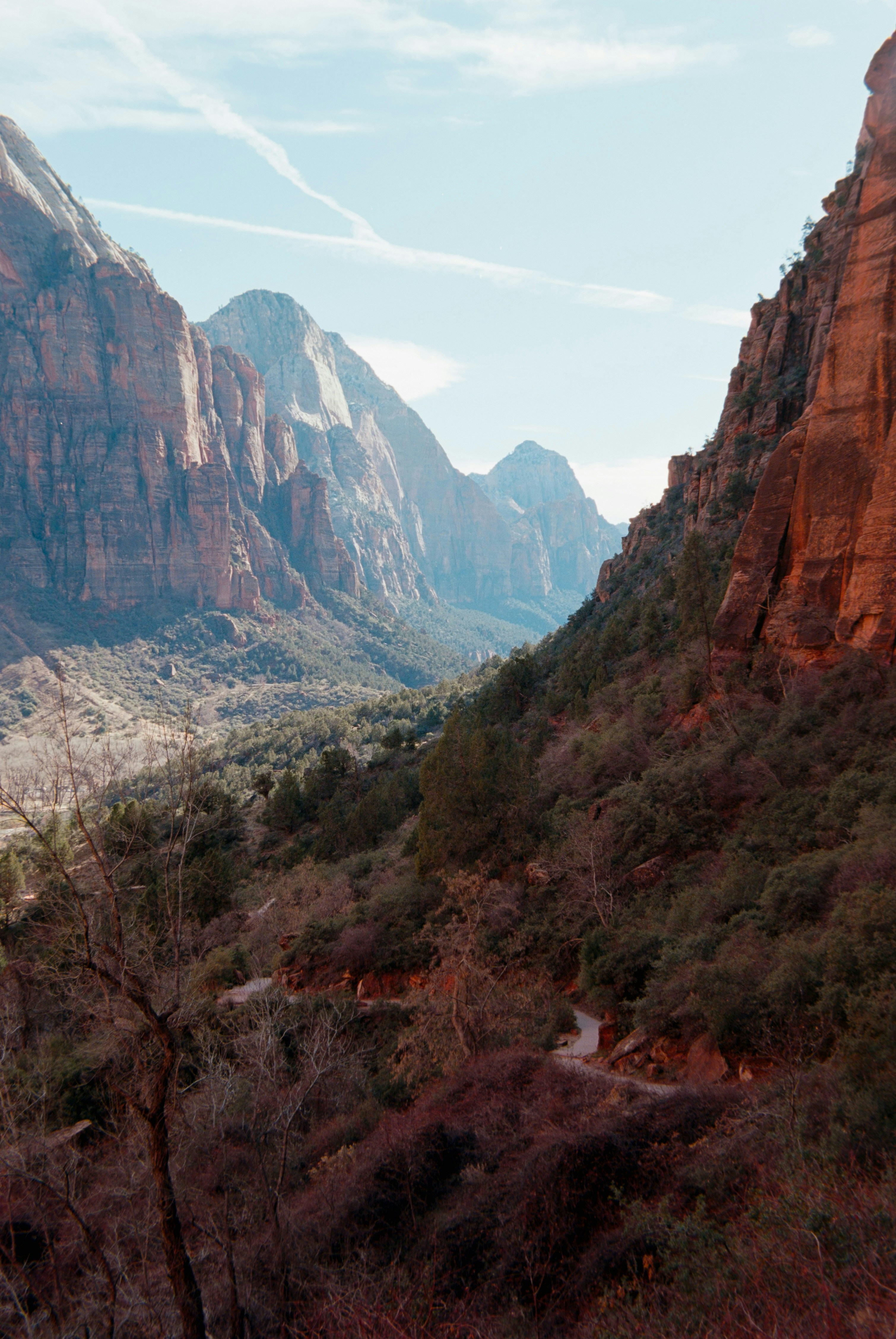 Photo by theguccer2100