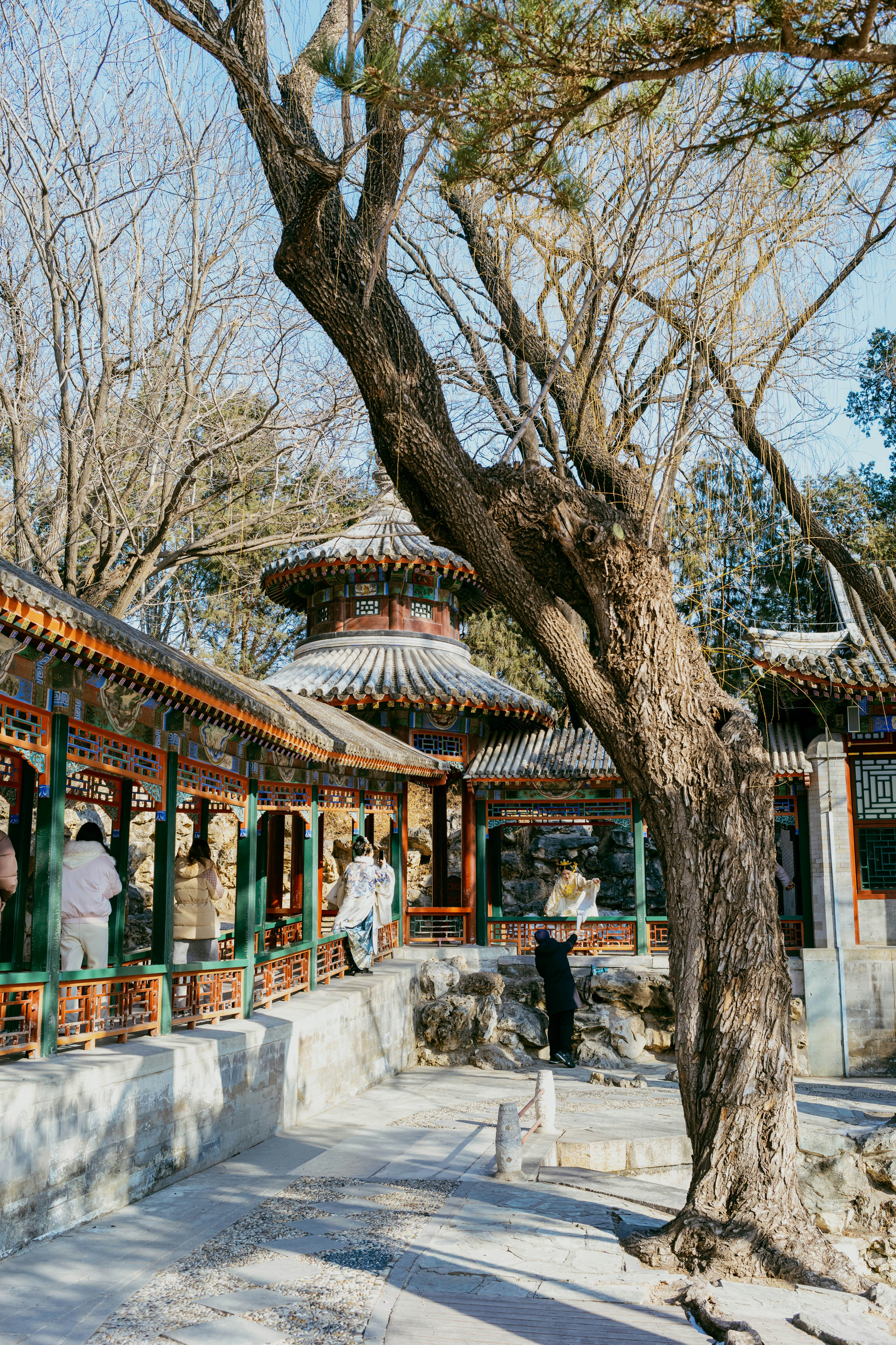 Photo by tommaomaoer