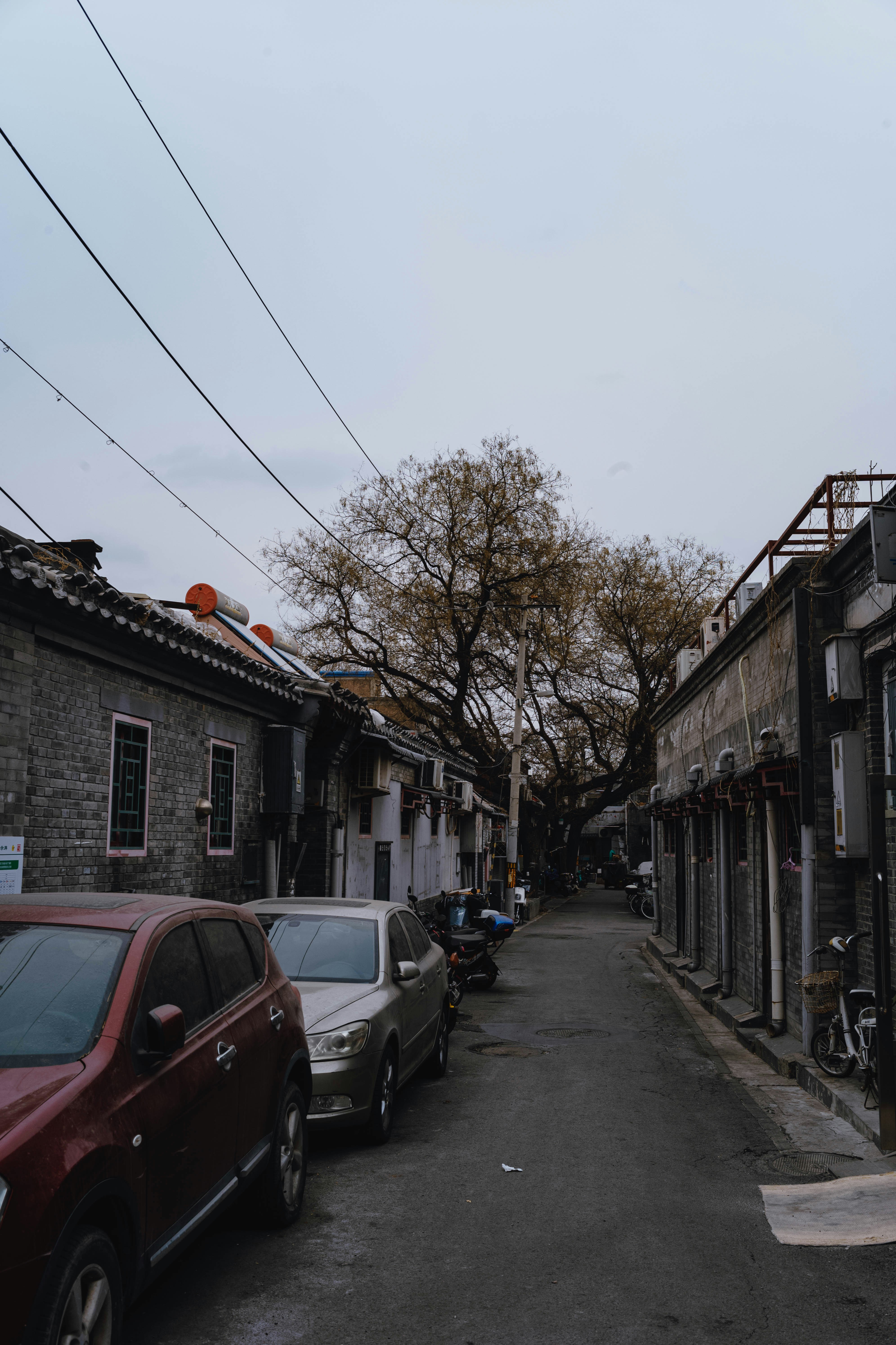 Photo by tommaomaoer
