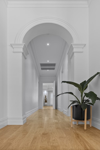 An elegant hallway with a potted plant and archway