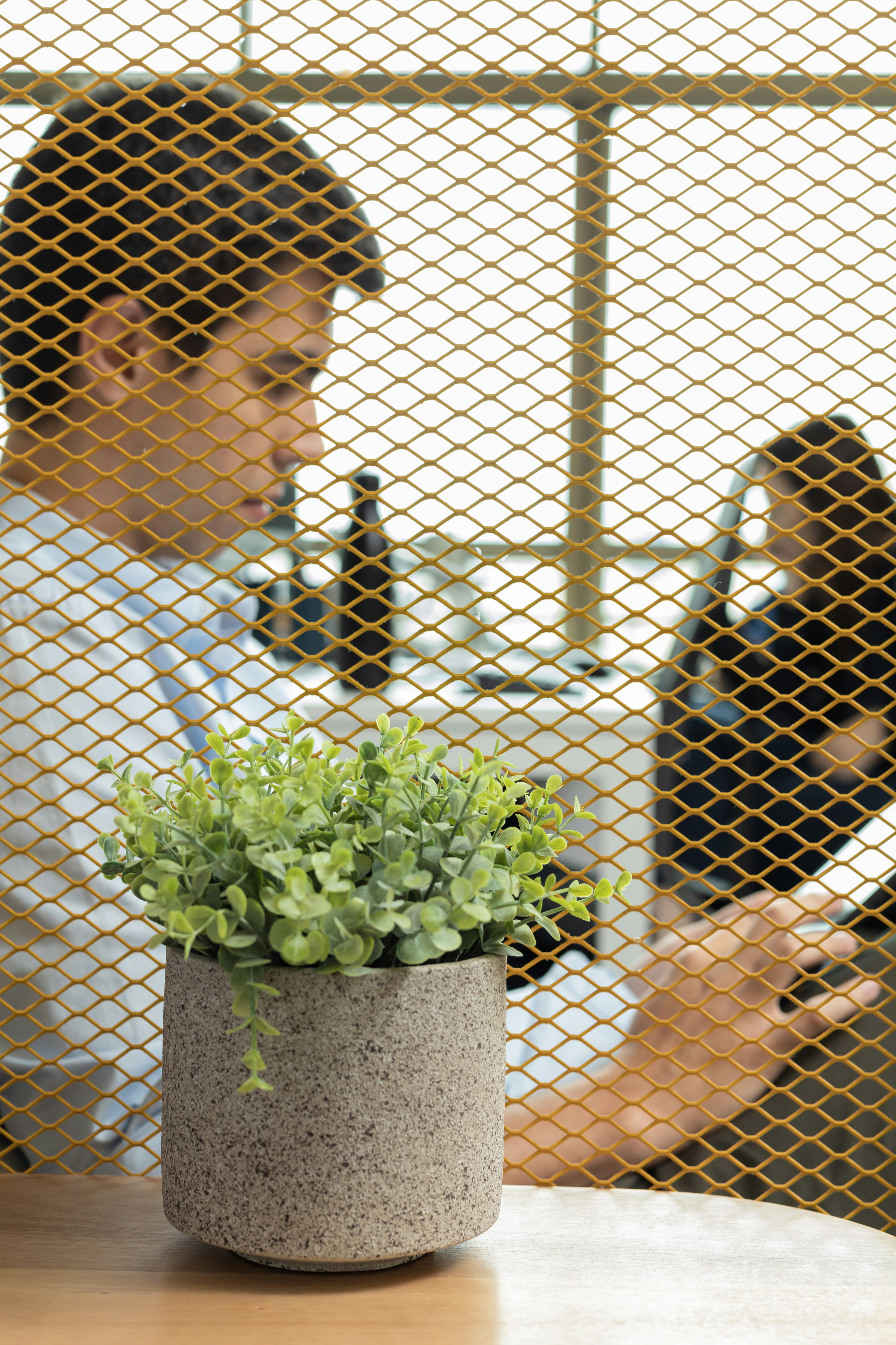 Zwei Personen hinter einem Metallgitter mit einer Topfpflanze