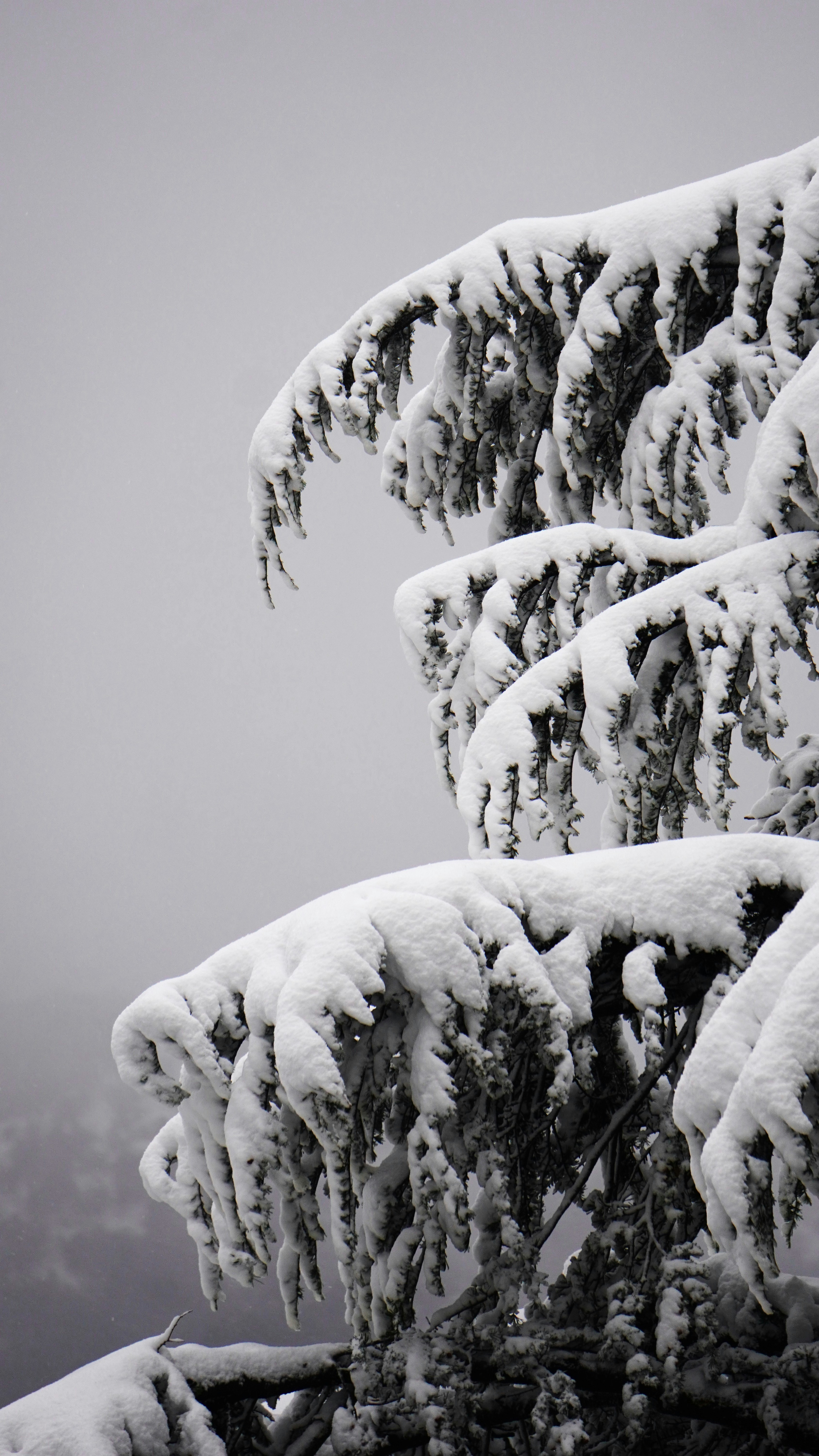 Photo by aditipanatu95