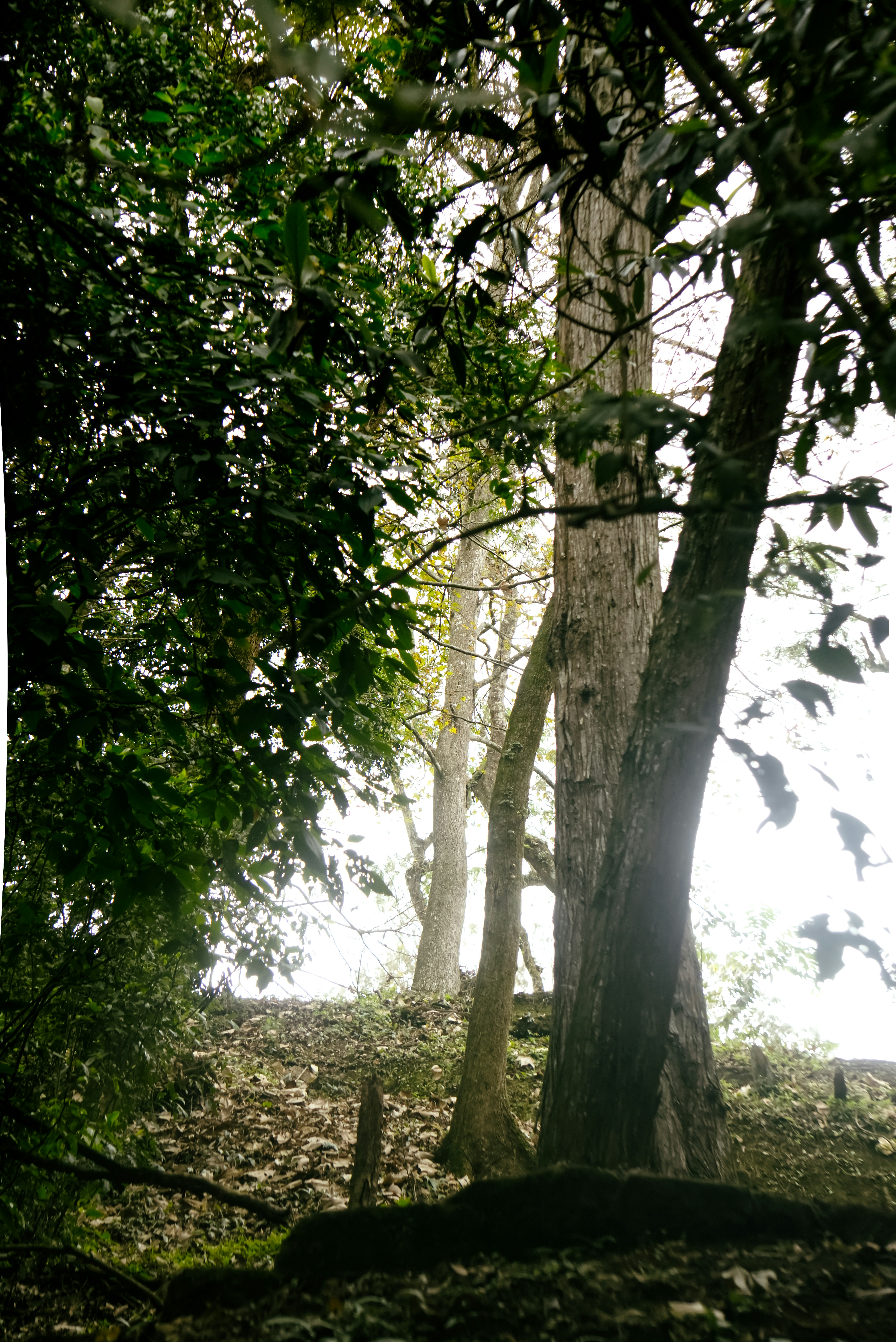 Photo by oscarespiritu