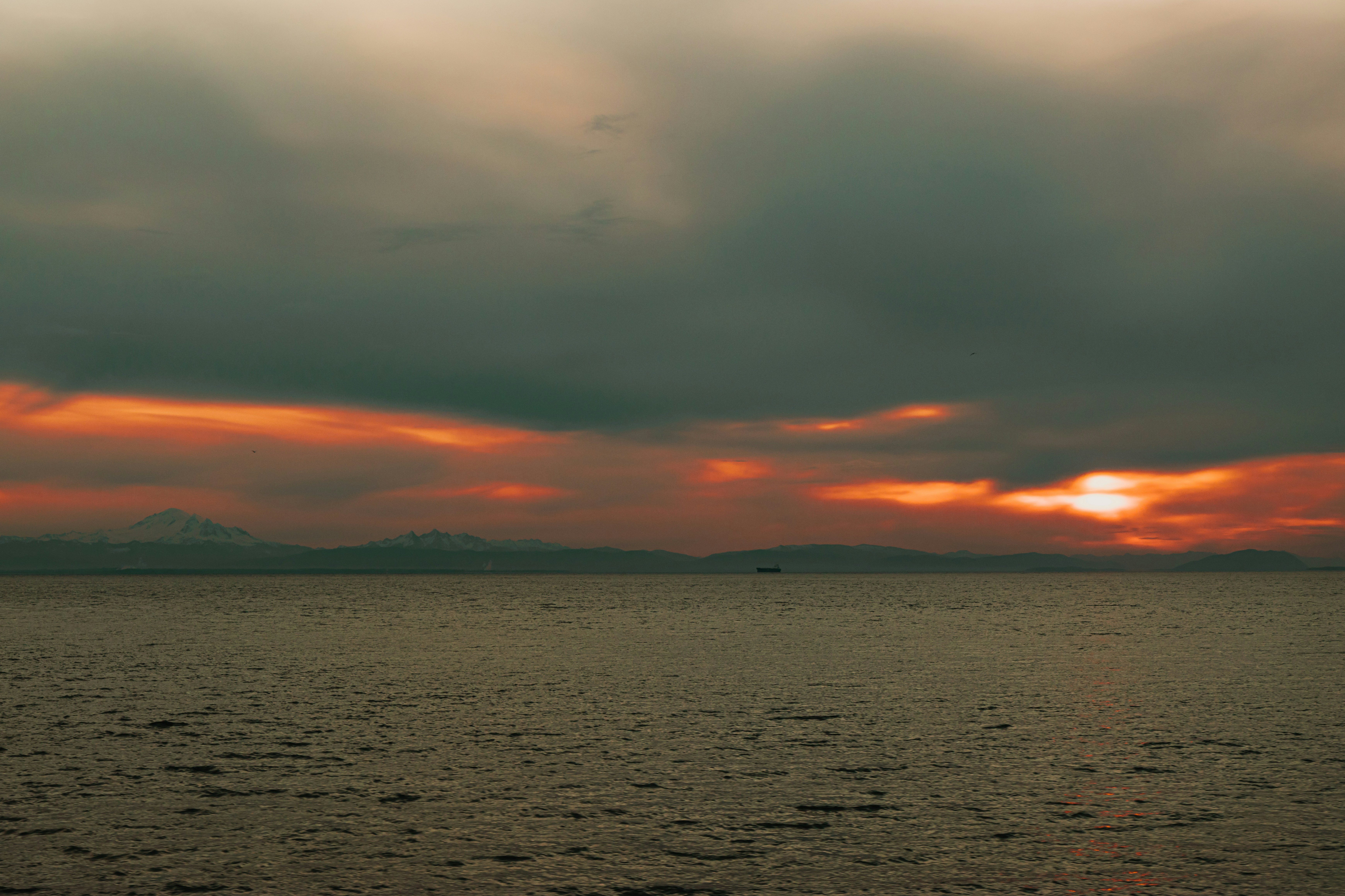 Photo by dariendesigns