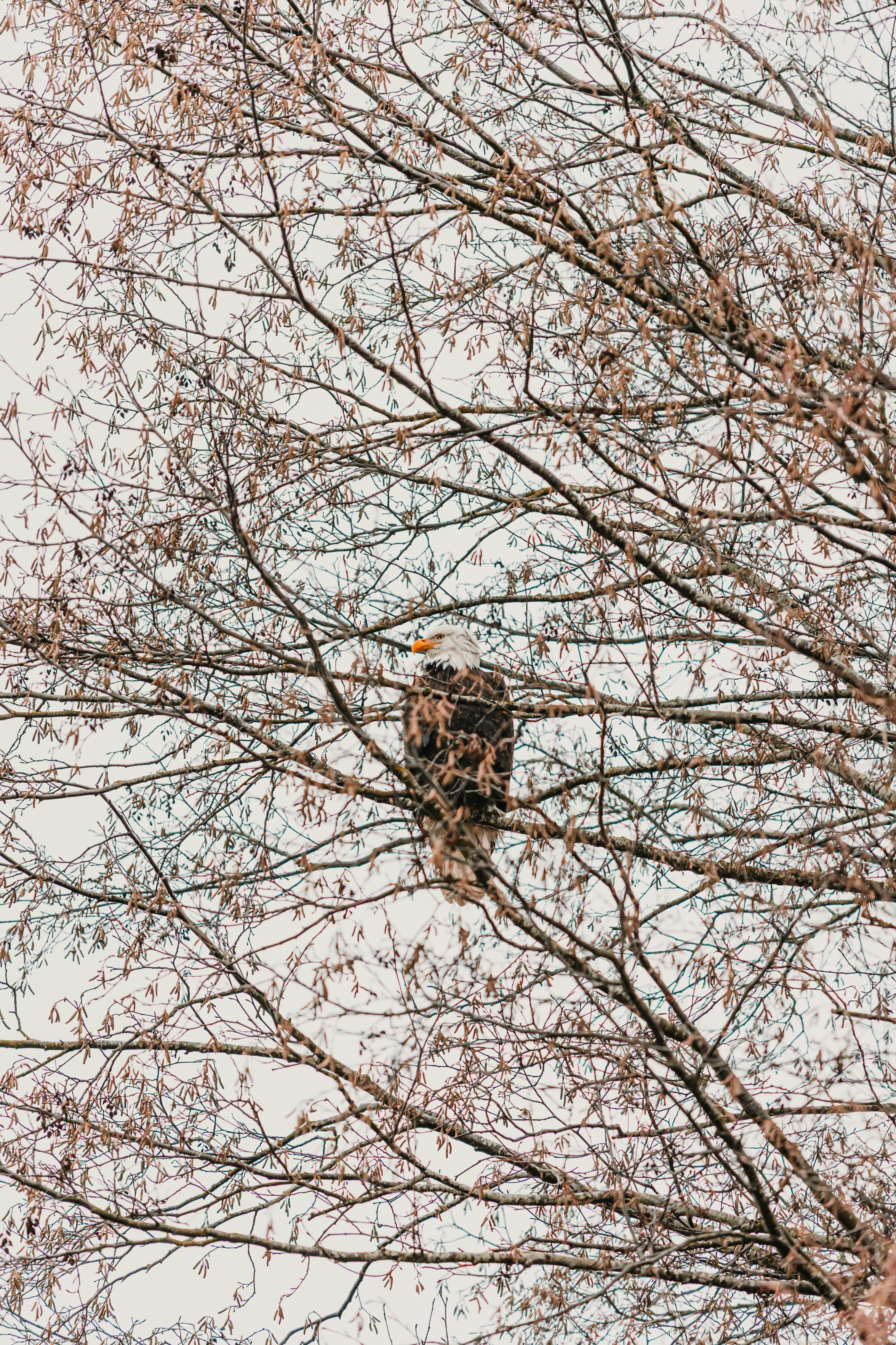 Photo by dariendesigns