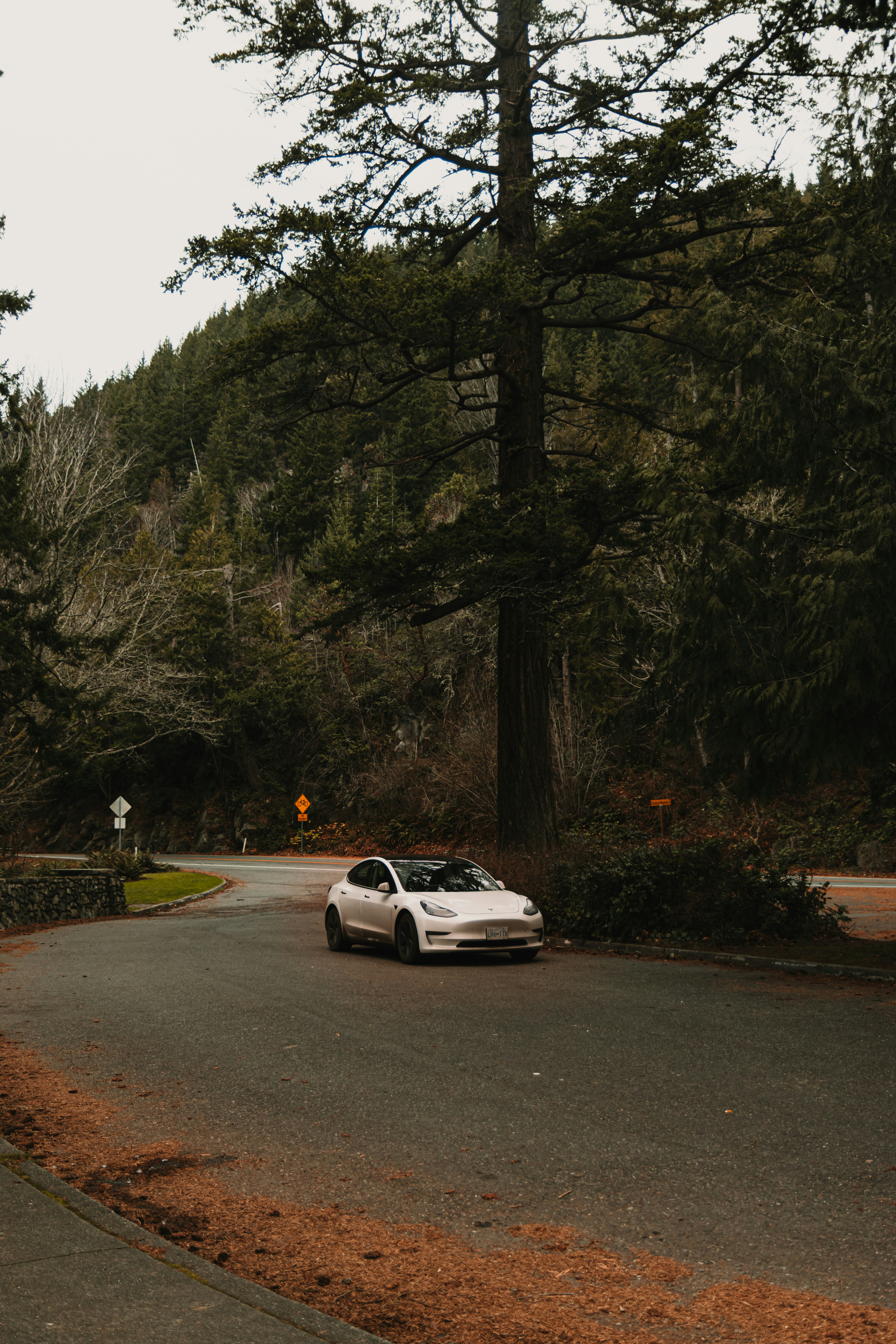White car parked on a winding road in a forest.