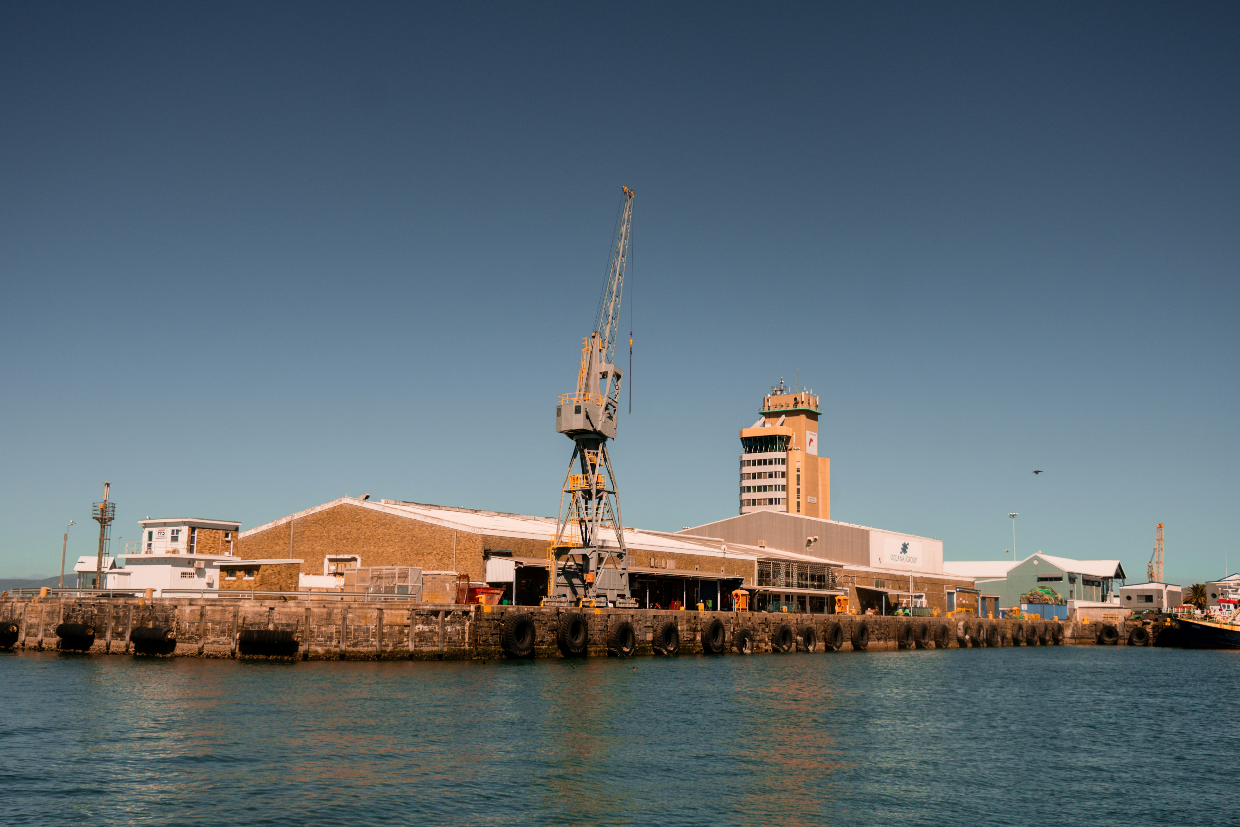 Puma unveils new football kits for 11 nations, including top African teams